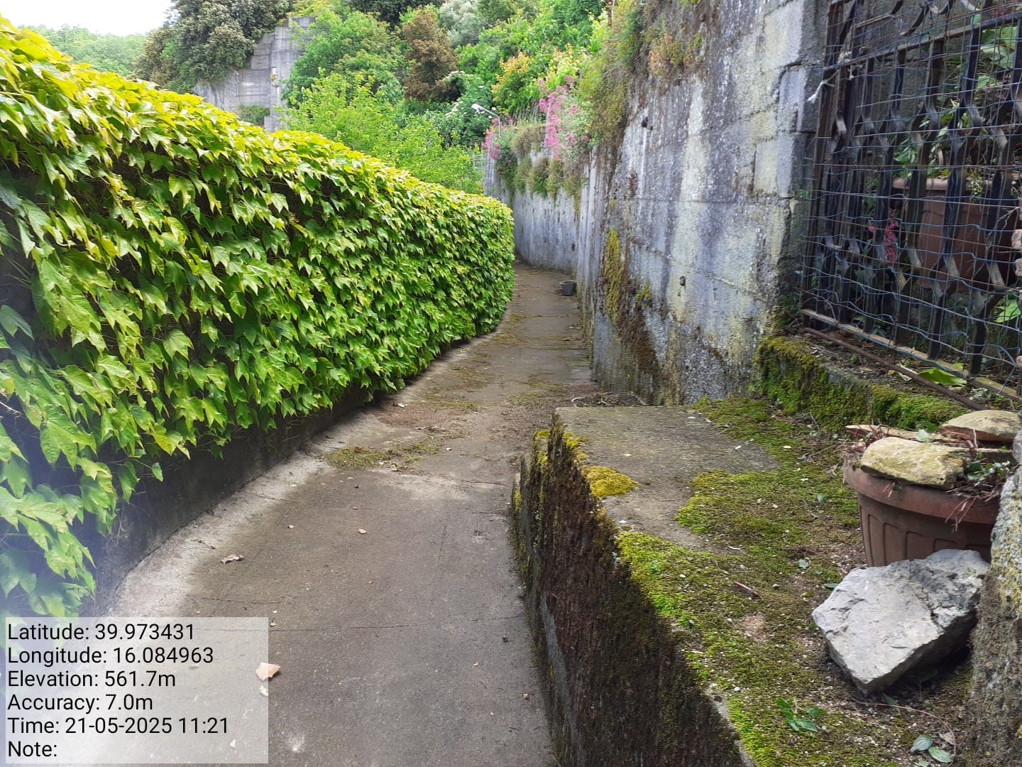 Galleria Fotografica Immagine