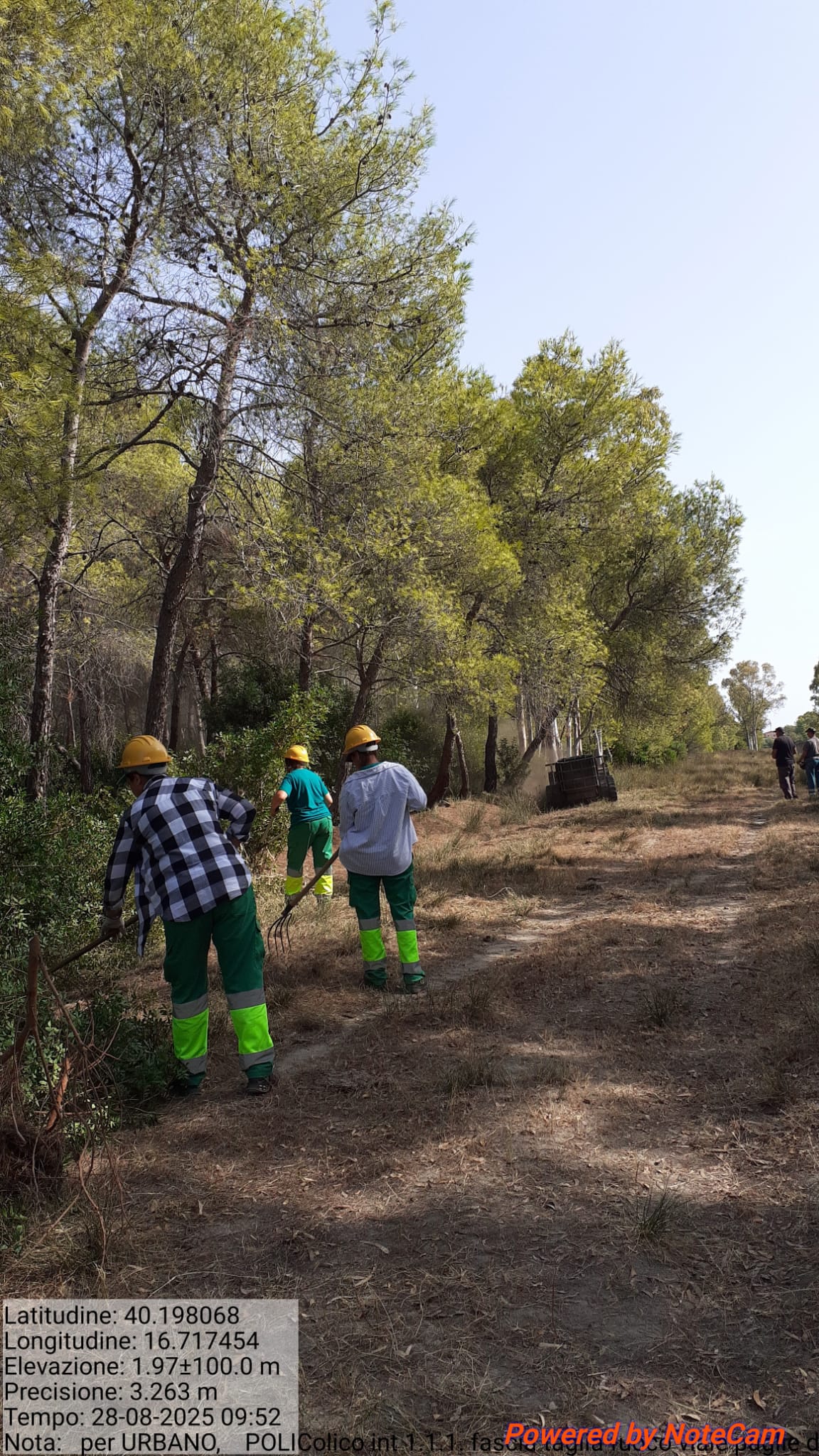 Galleria Fotografica Immagine