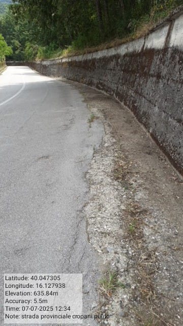 Galleria Fotografica Immagine