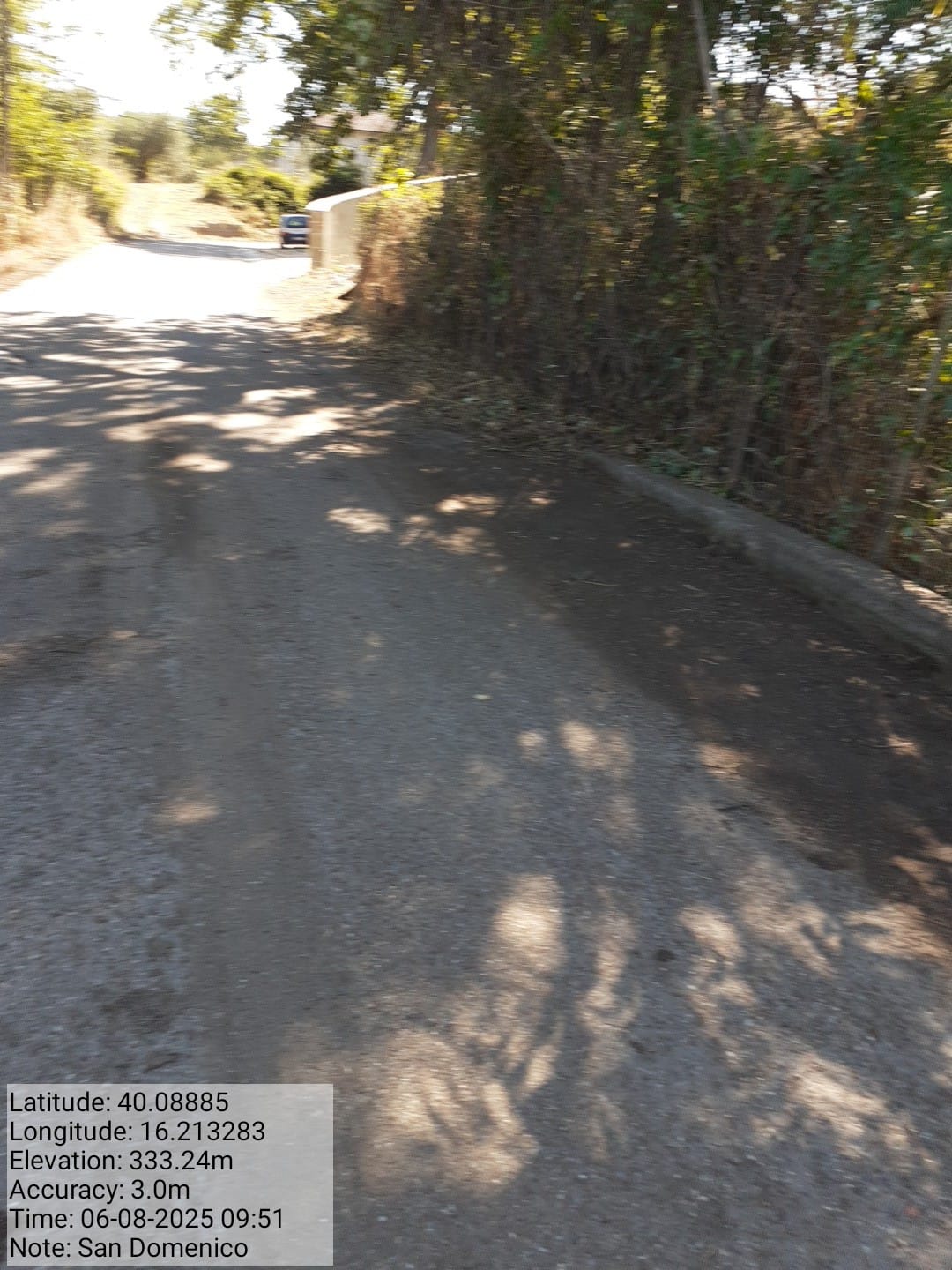 Galleria Fotografica Immagine