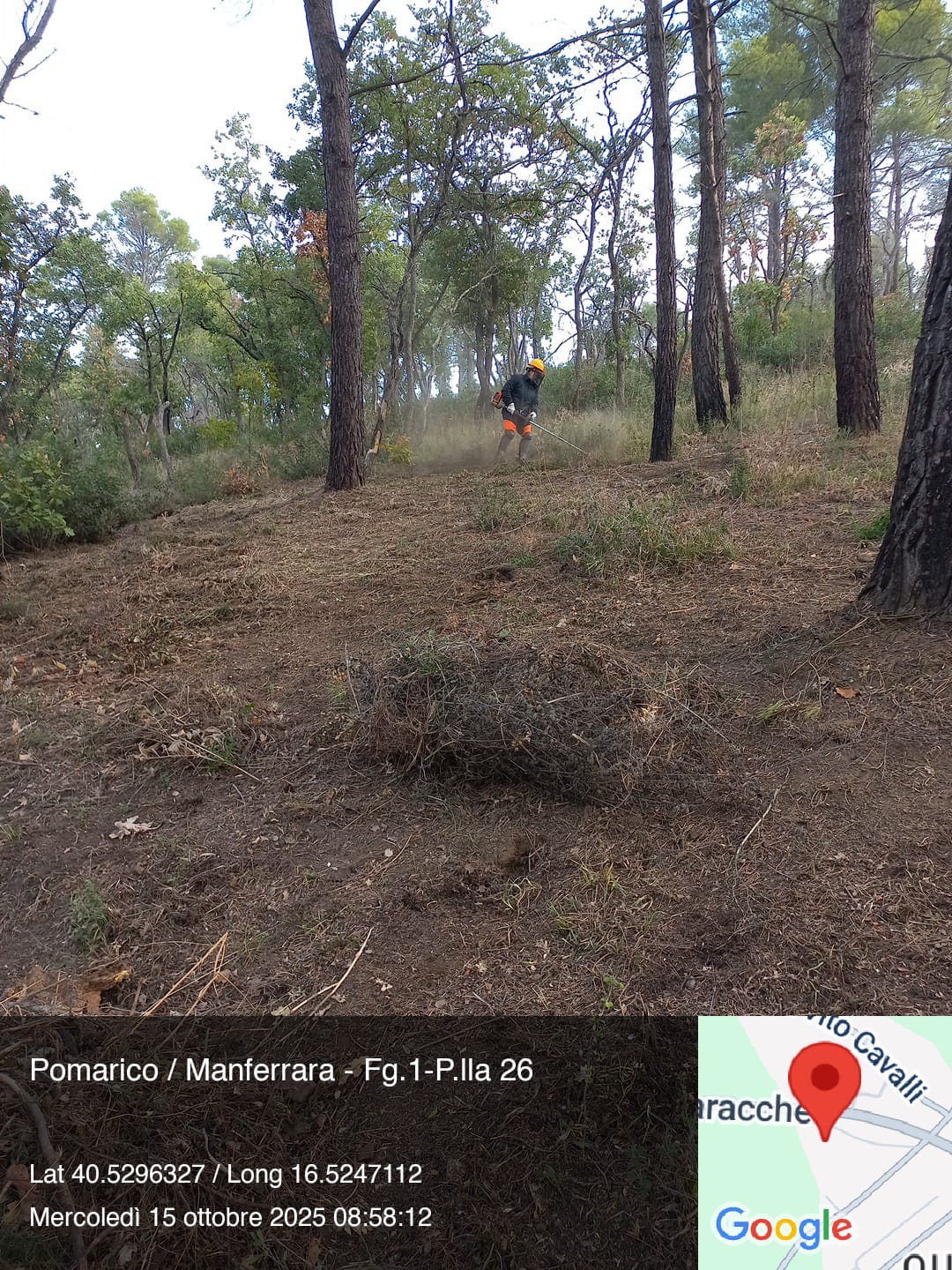 Galleria Fotografica Immagine