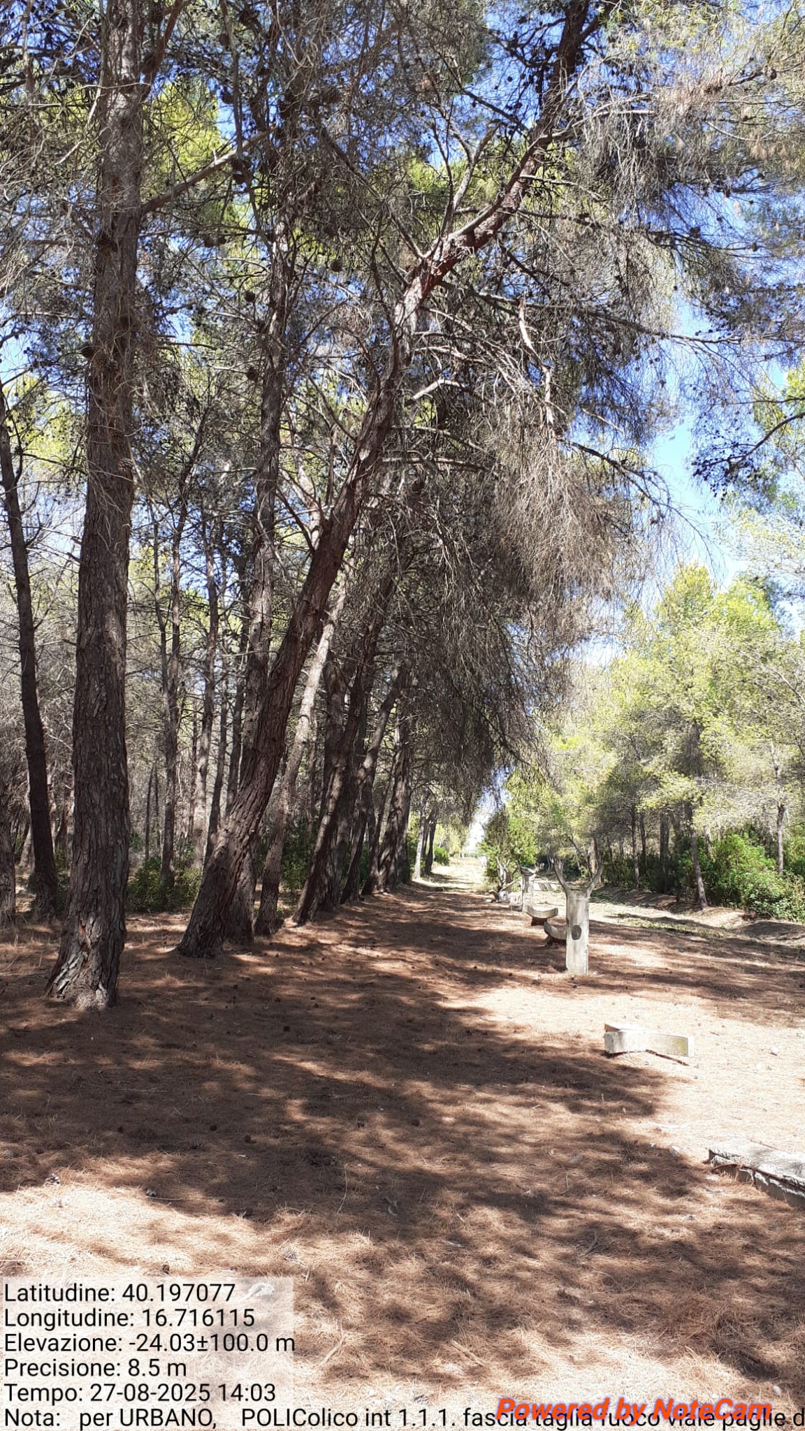 Galleria Fotografica Immagine