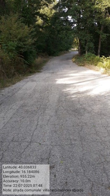 Galleria Fotografica Immagine