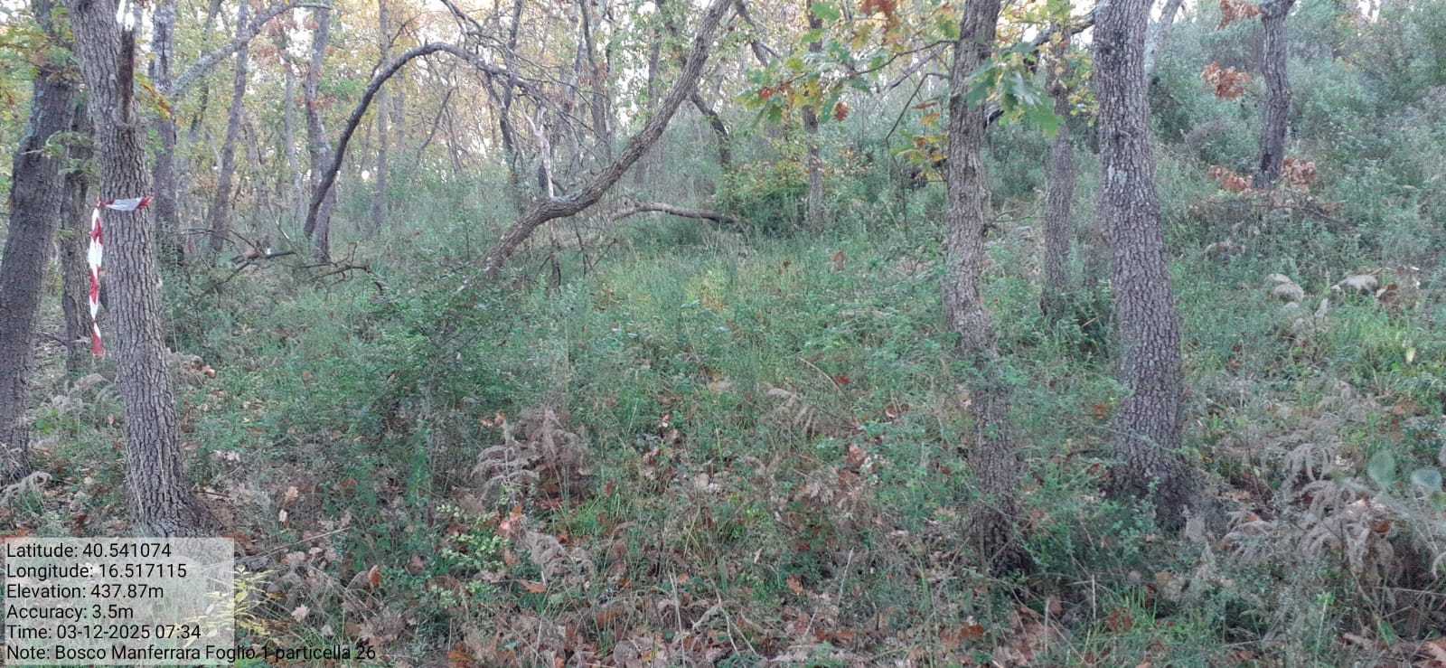 Galleria Fotografica Immagine