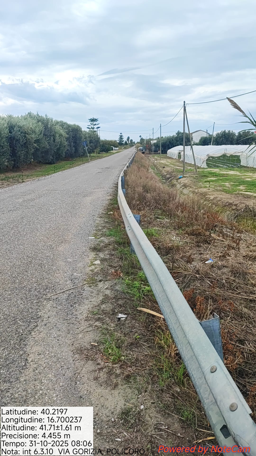 Galleria Fotografica Immagine