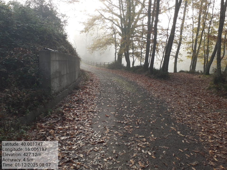 Galleria Fotografica Immagine