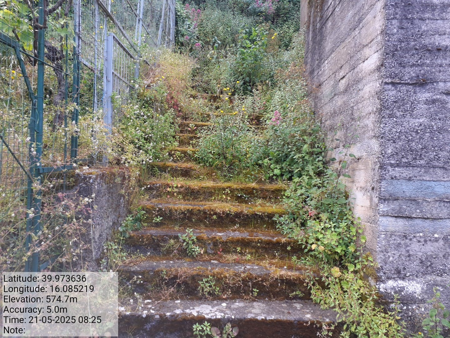 Galleria Fotografica Immagine