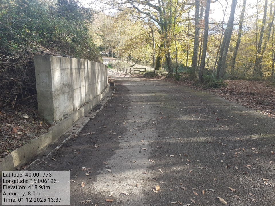 Galleria Fotografica Immagine