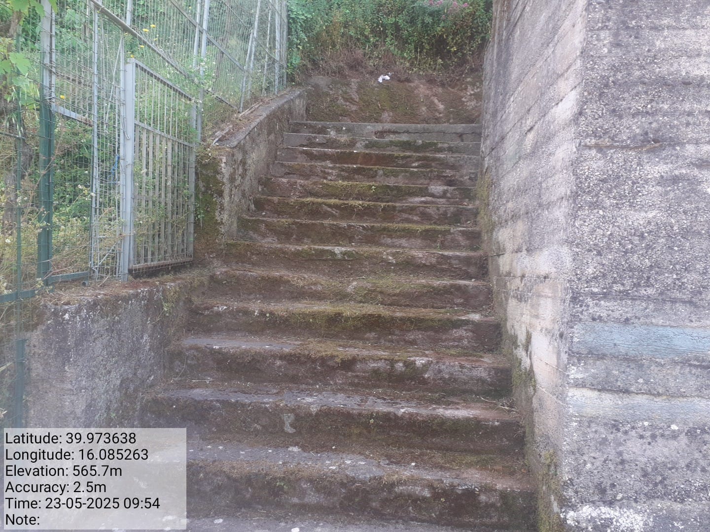 Galleria Fotografica Immagine