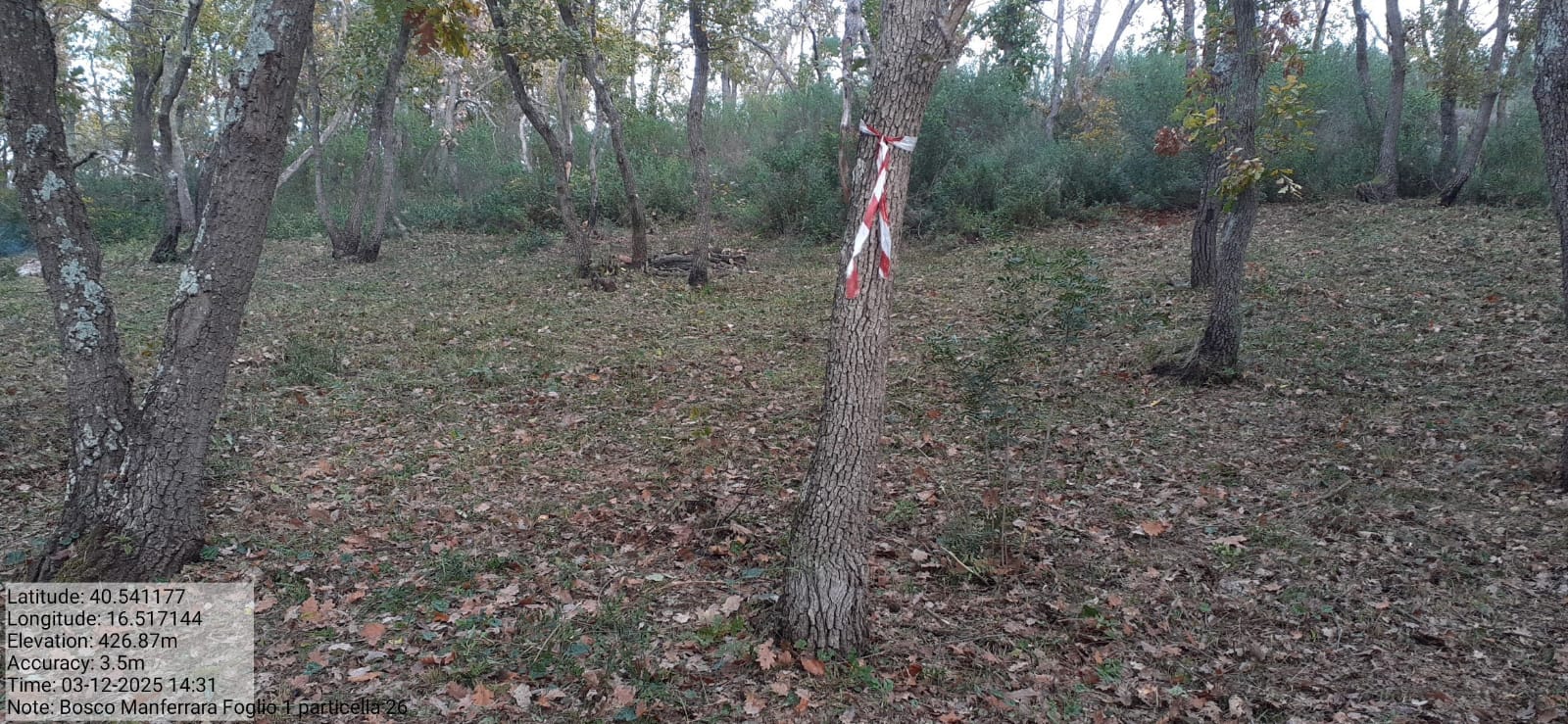 Galleria Fotografica Immagine