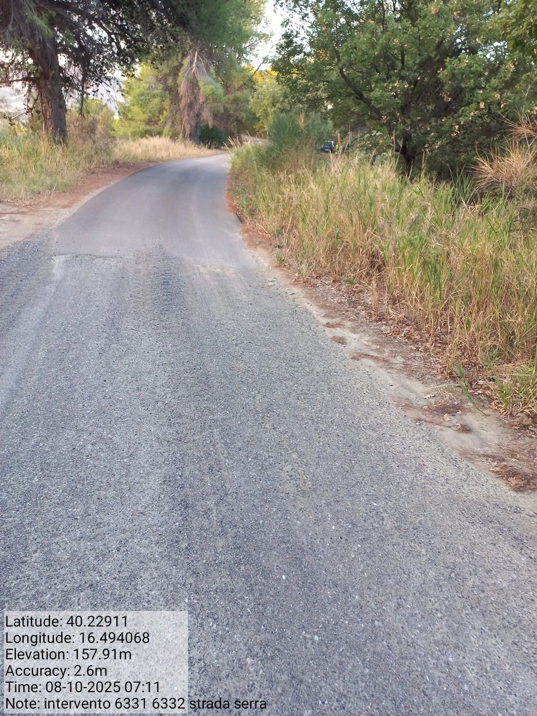 Galleria Fotografica Immagine