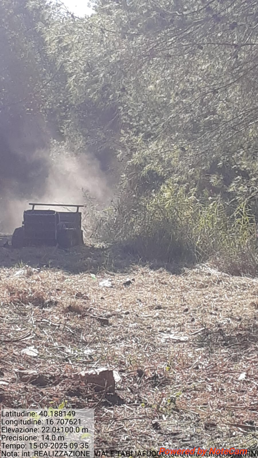 Galleria Fotografica Immagine