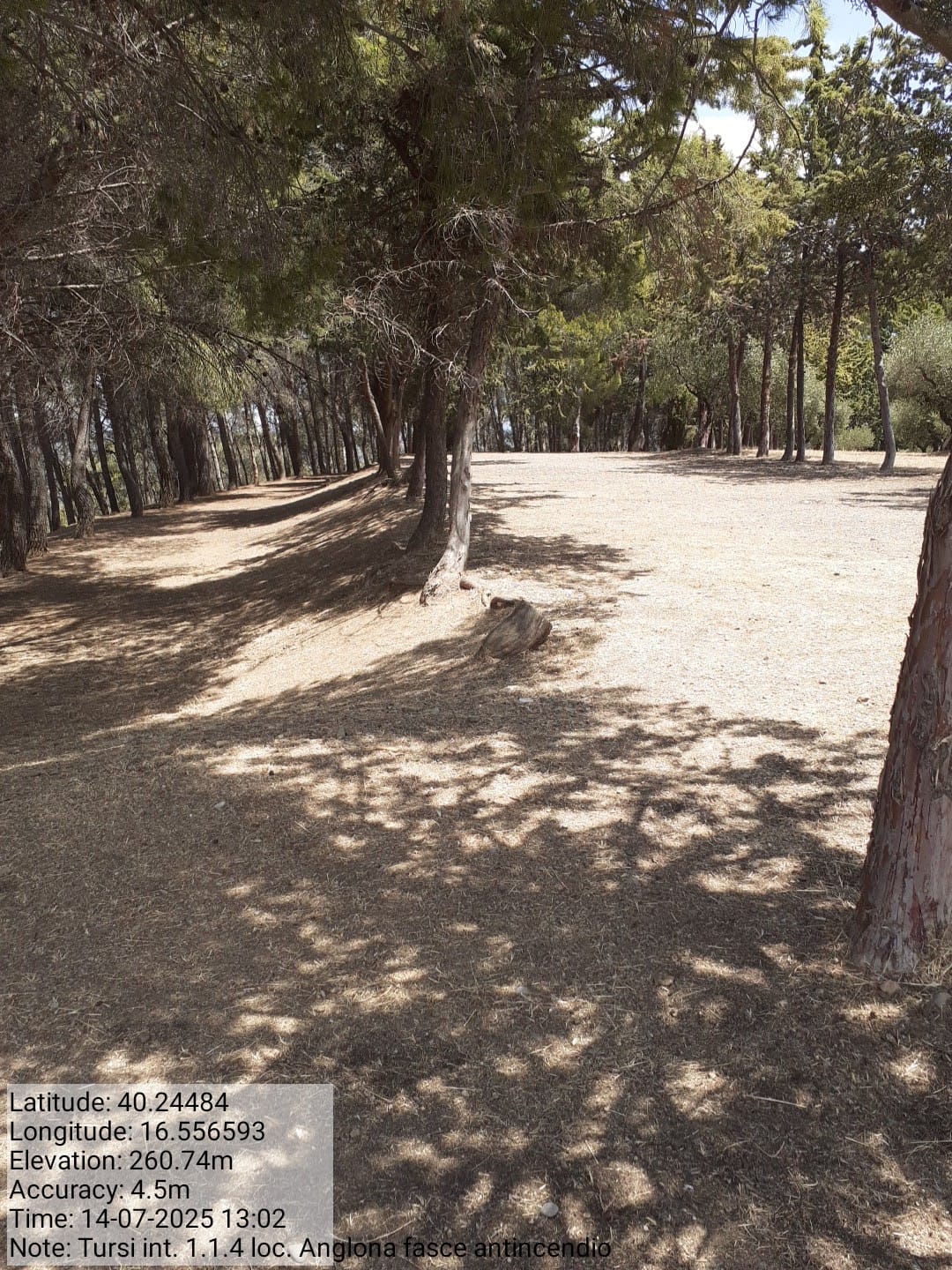 Galleria Fotografica Immagine