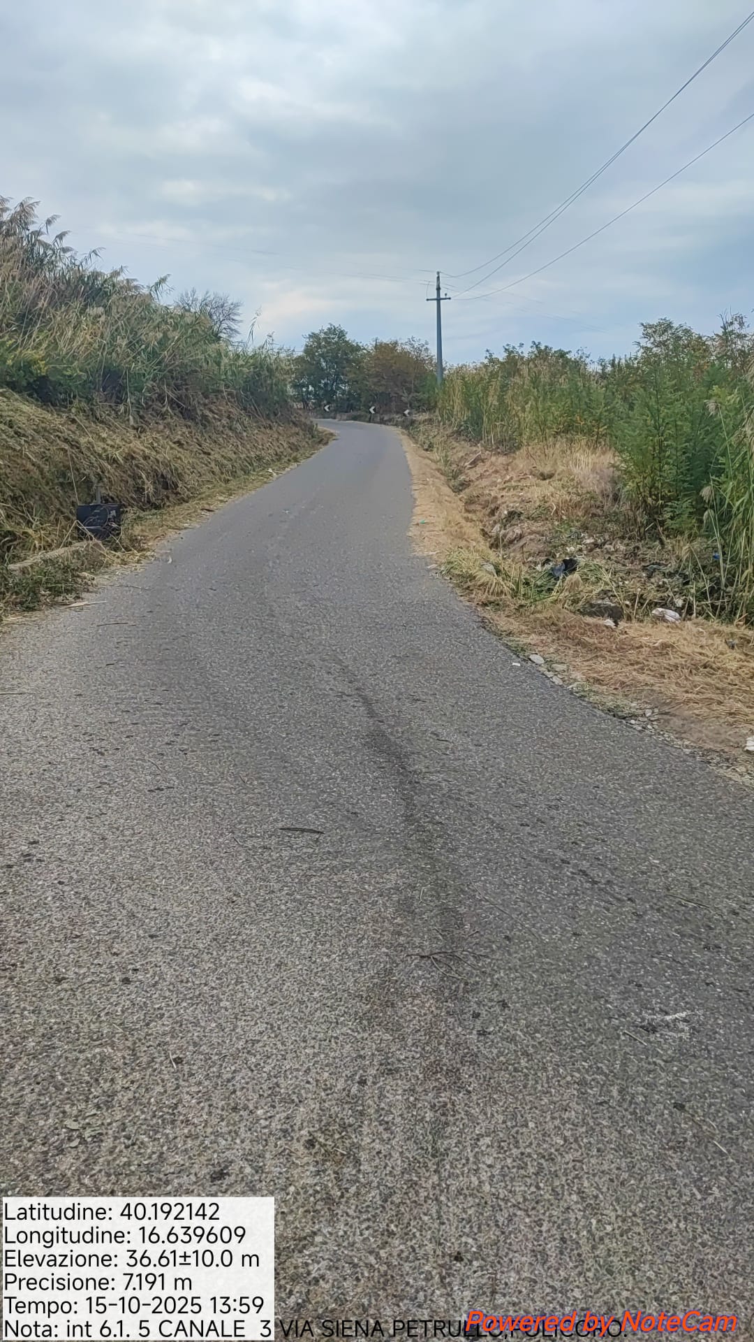 Galleria Fotografica Immagine