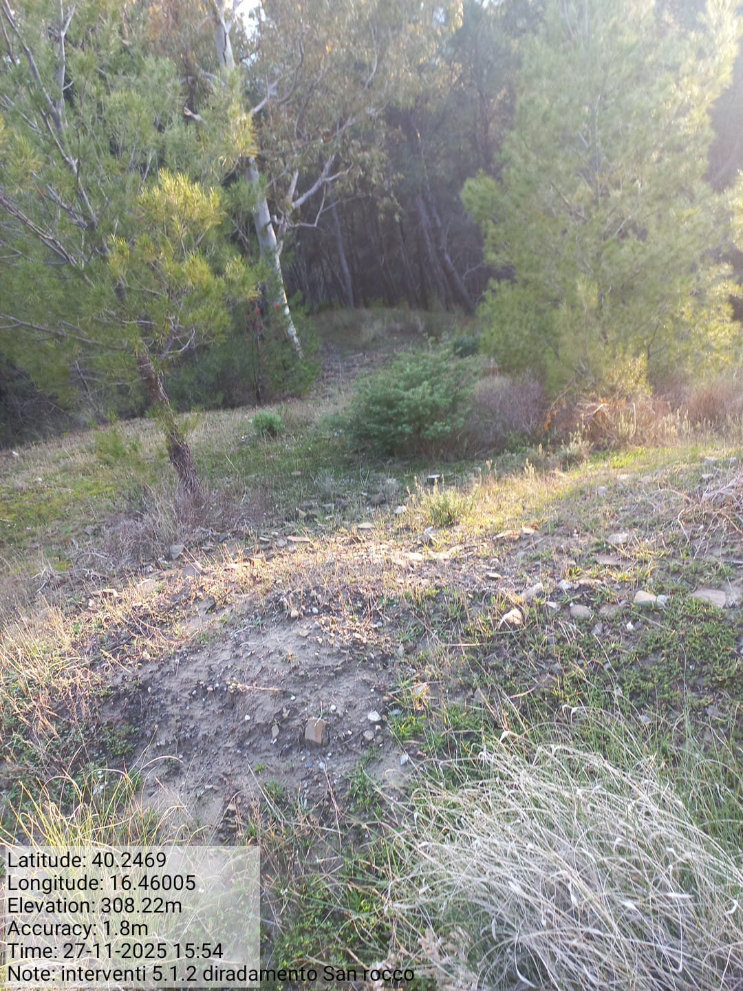 Galleria Fotografica Immagine