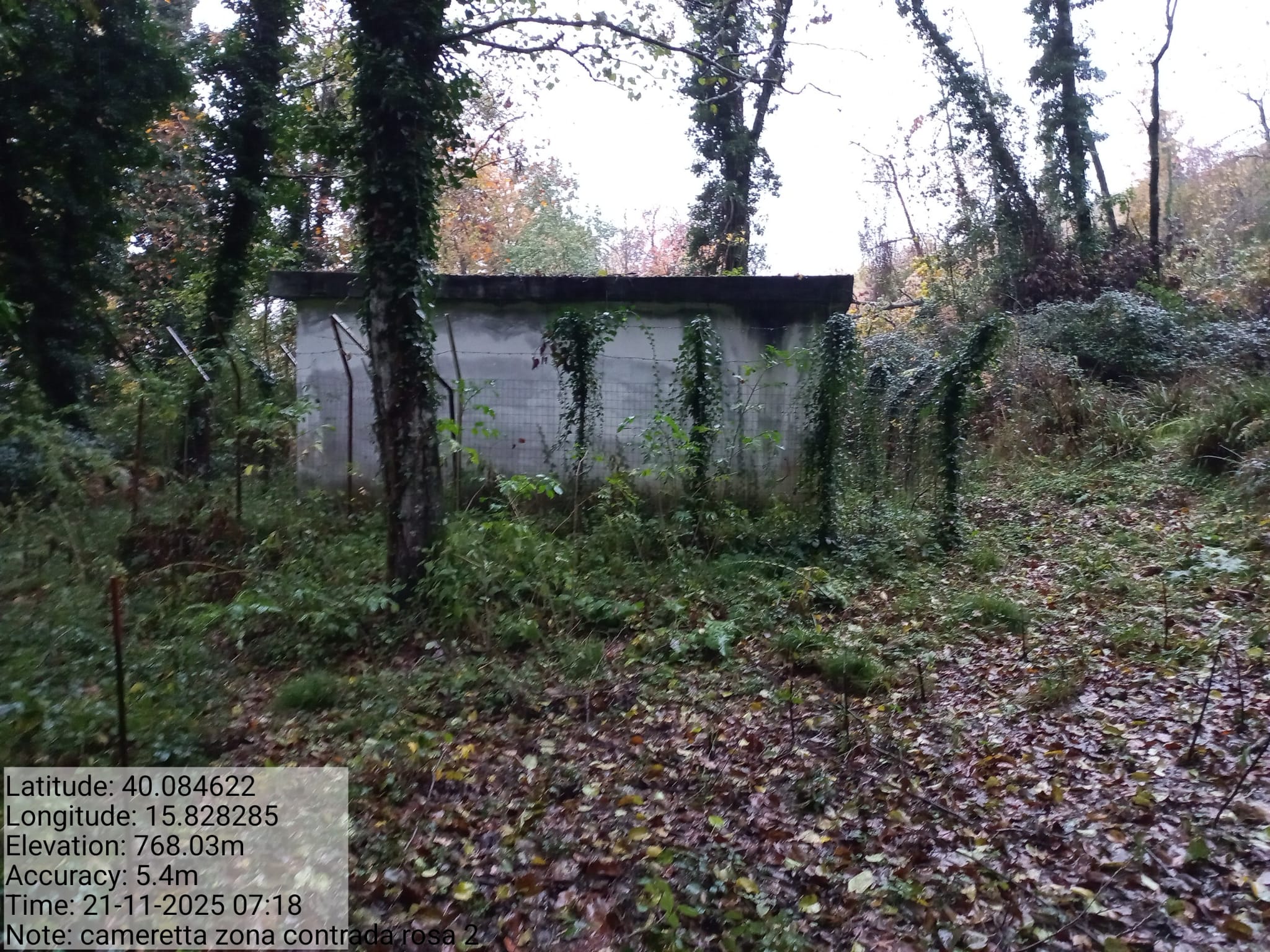 Galleria Fotografica Immagine