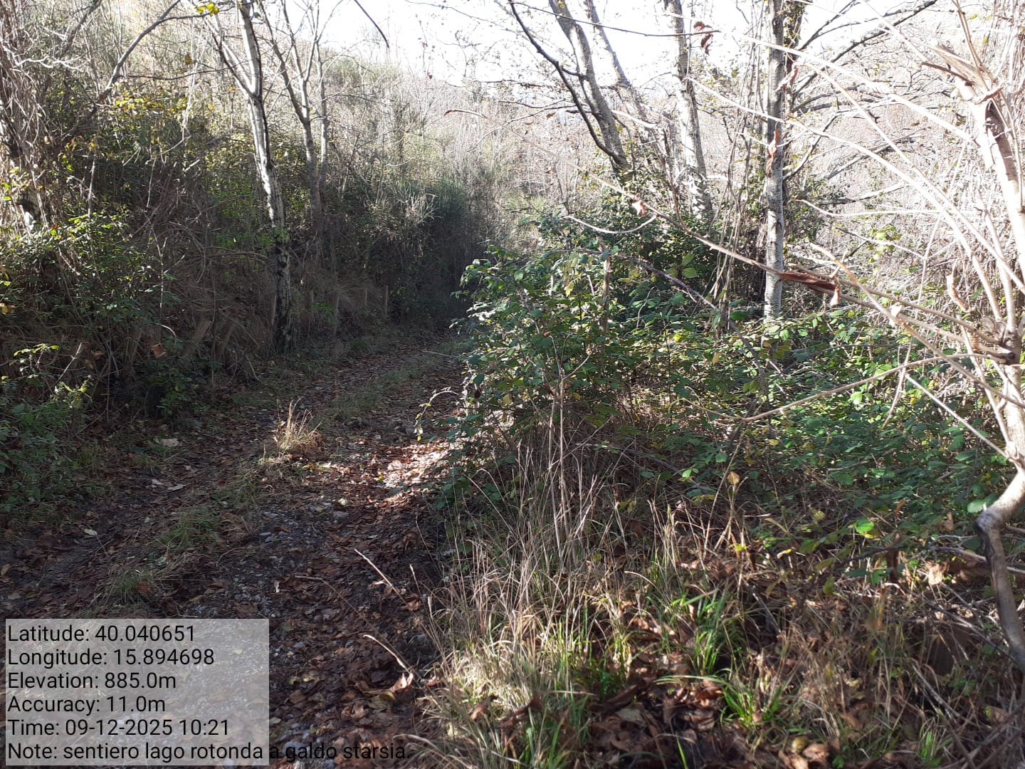 Galleria Fotografica Immagine