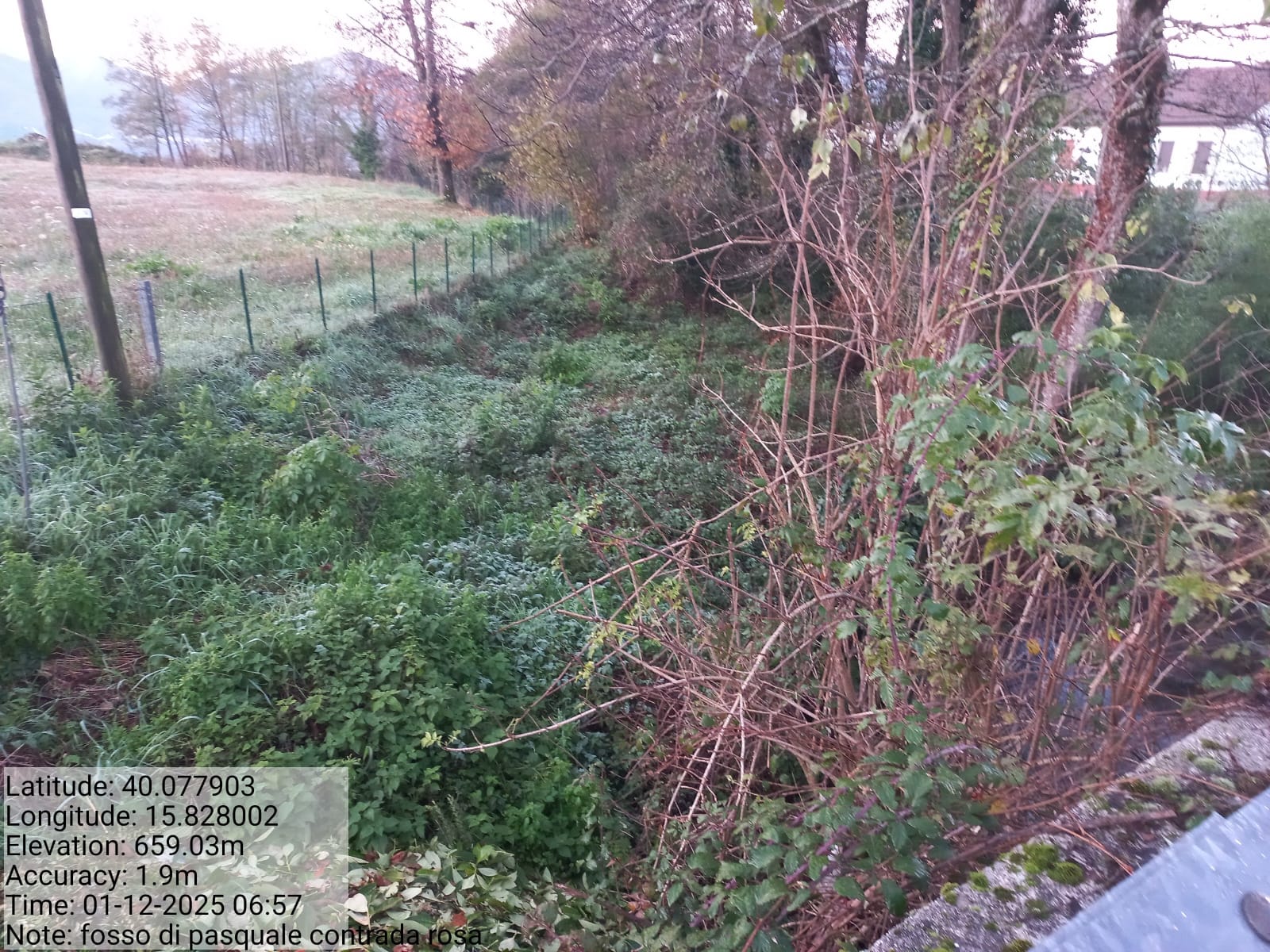 Galleria Fotografica Immagine