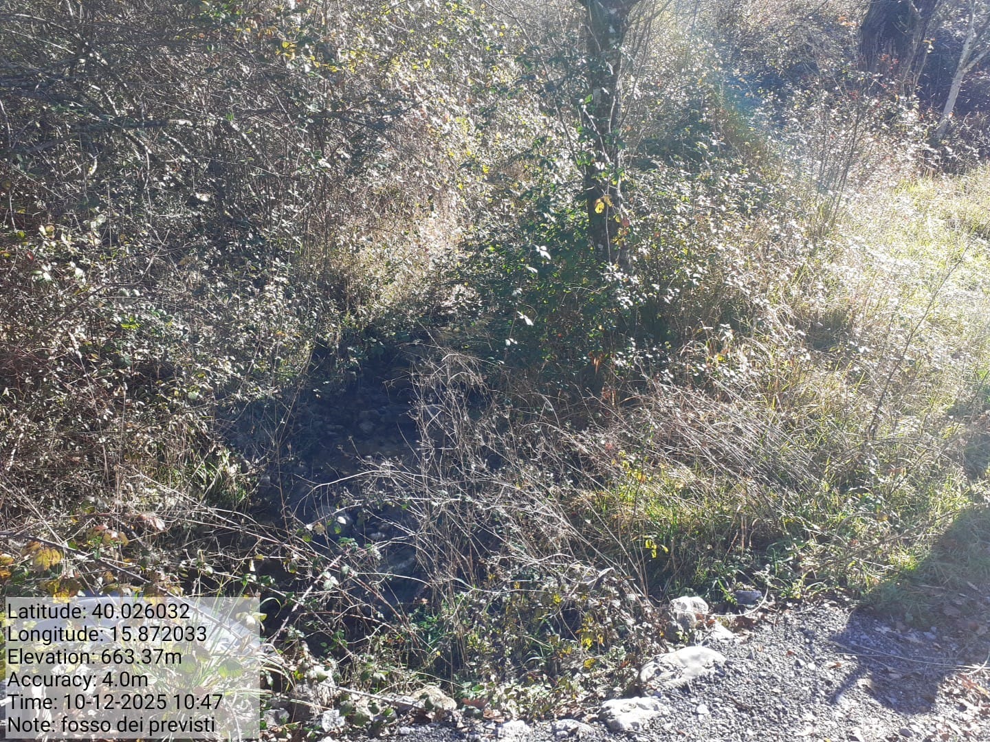 Galleria Fotografica Immagine