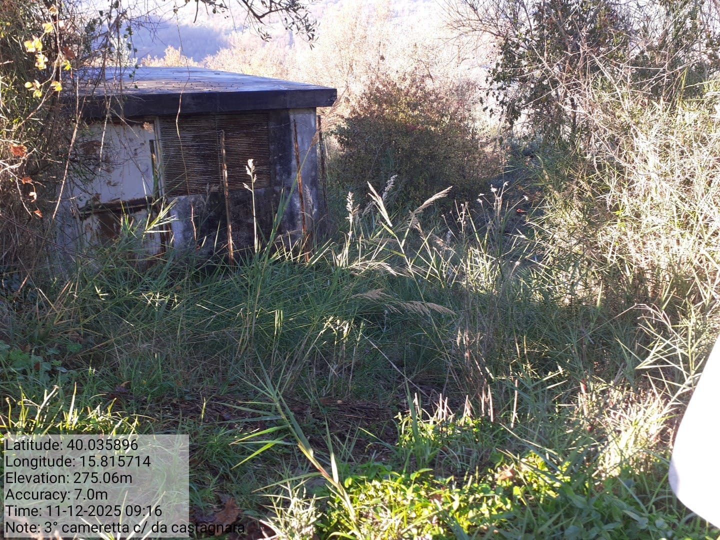 Galleria Fotografica Immagine