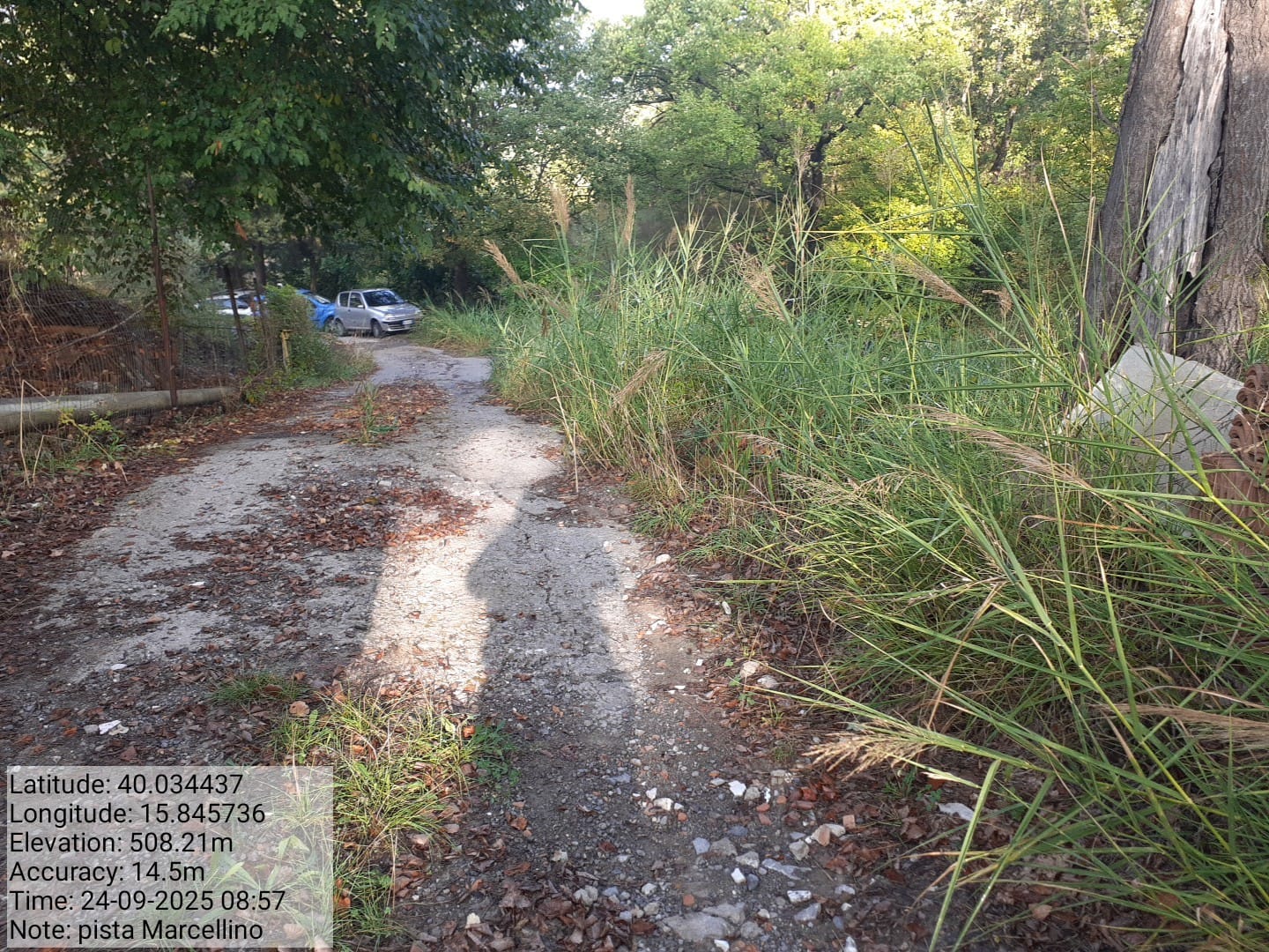 Galleria Fotografica Immagine