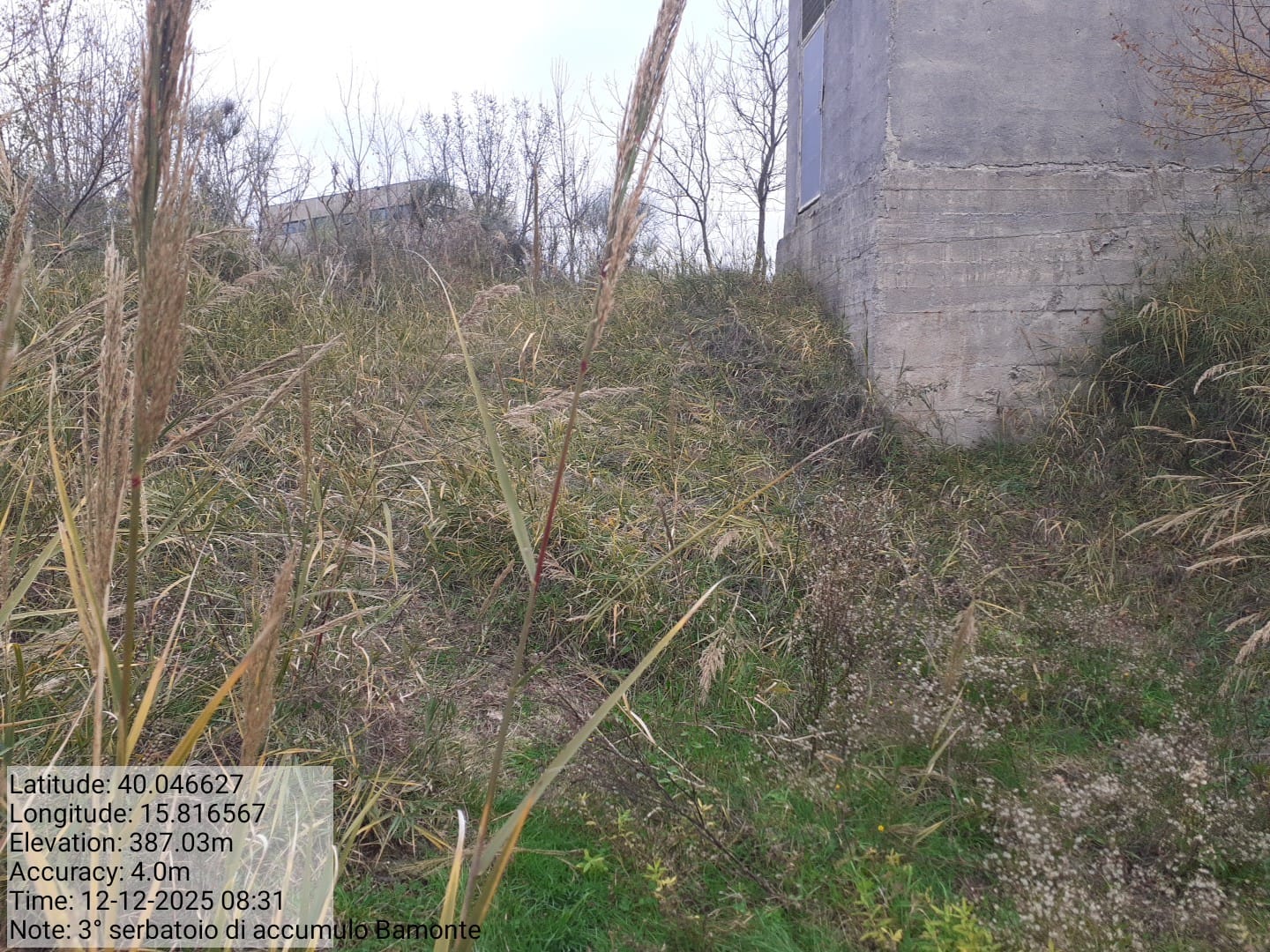 Galleria Fotografica Immagine