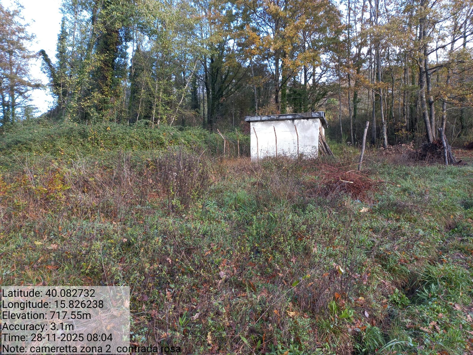 Galleria Fotografica Immagine