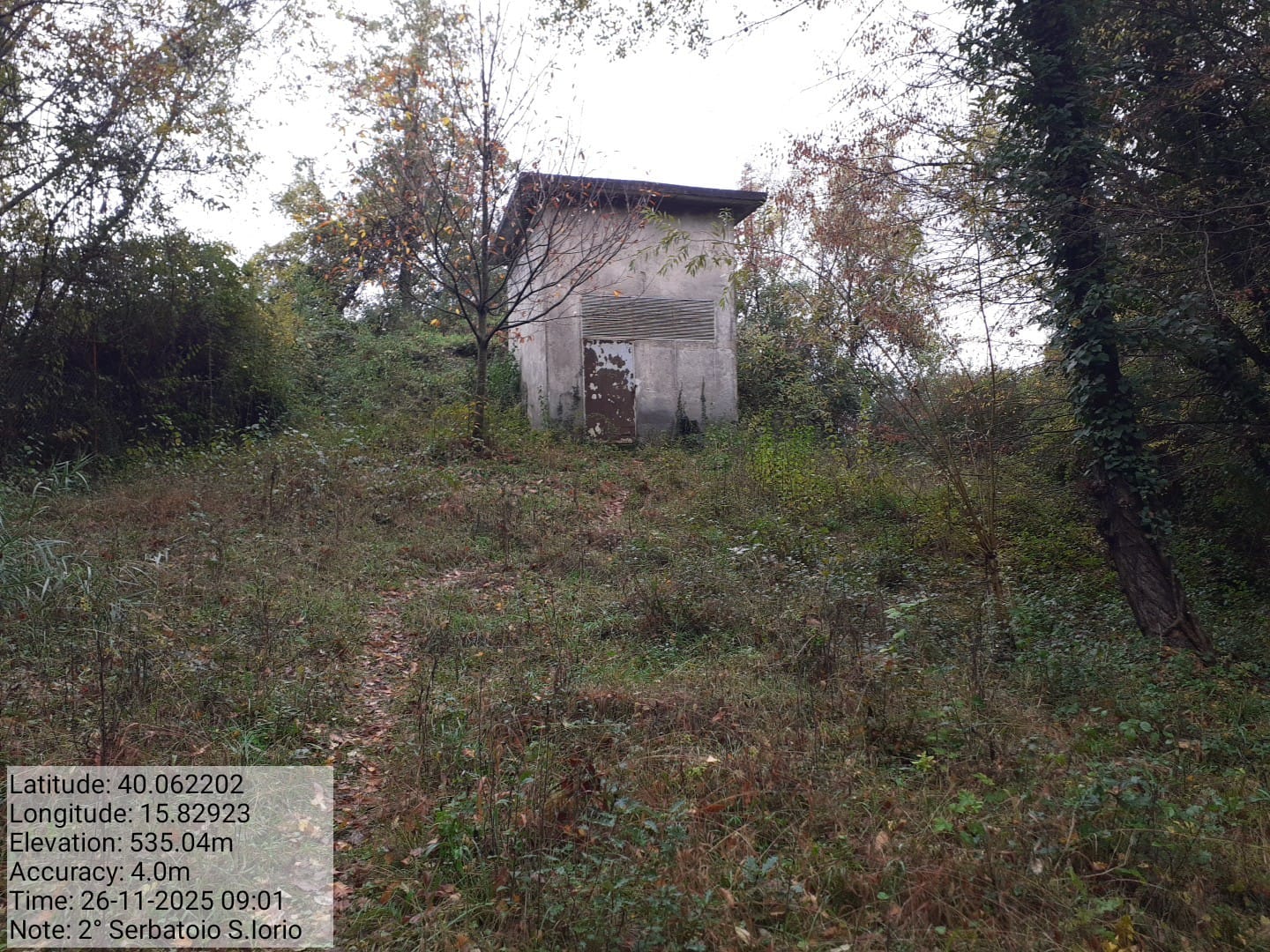 Galleria Fotografica Immagine