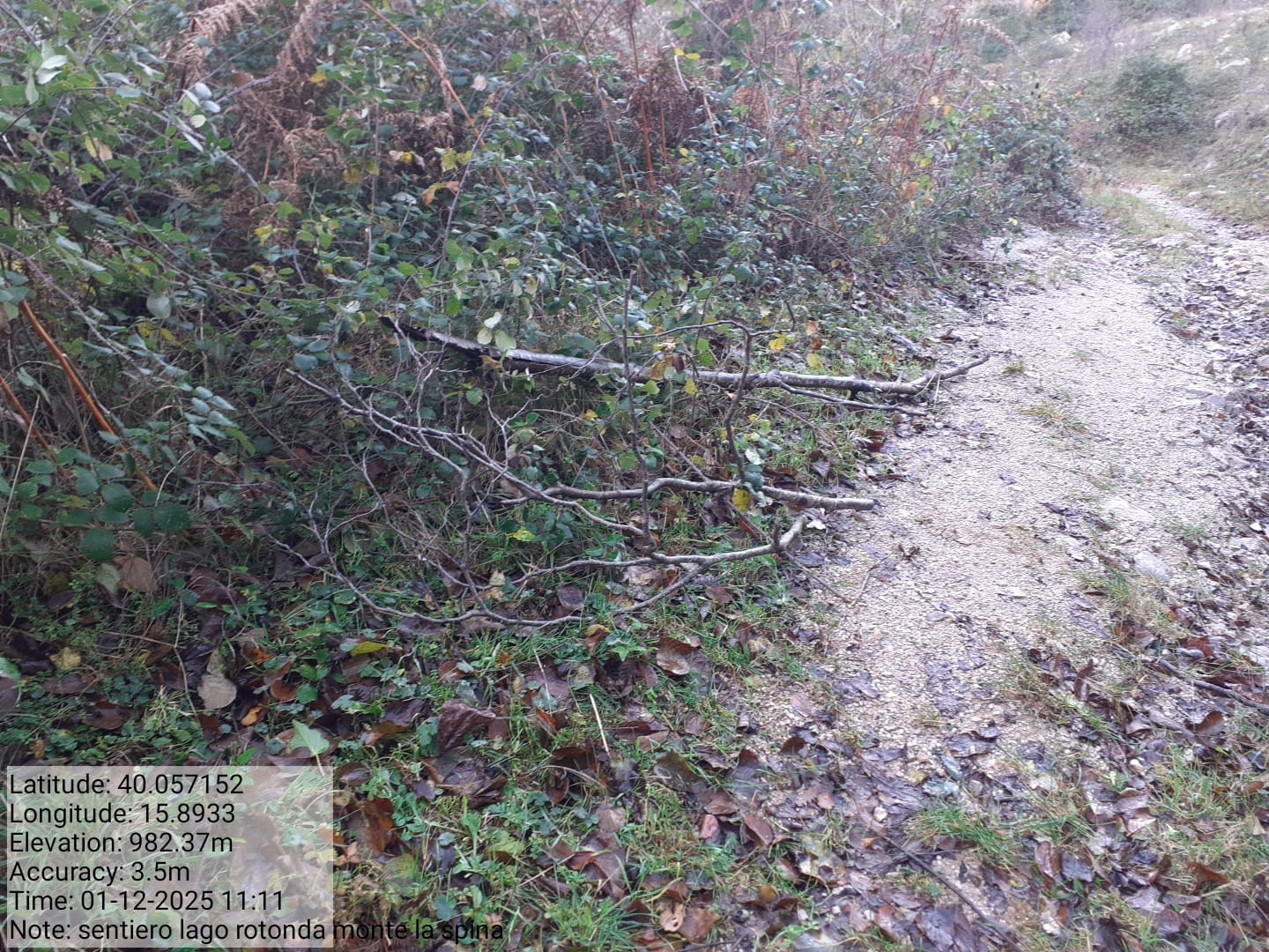 Galleria Fotografica Immagine