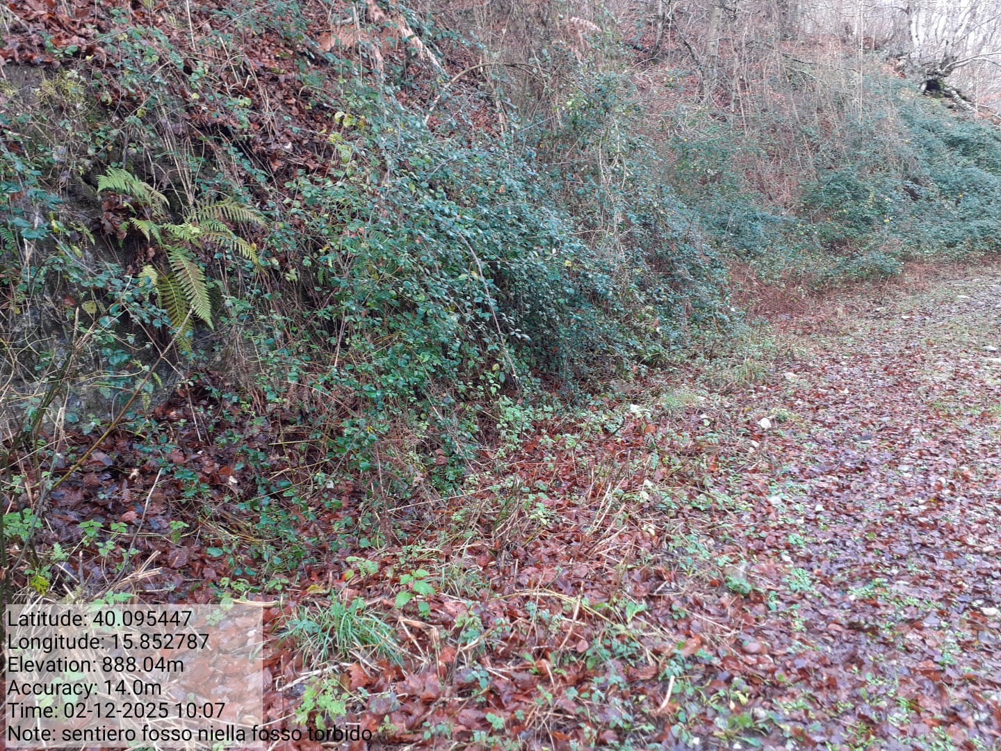 Galleria Fotografica Immagine