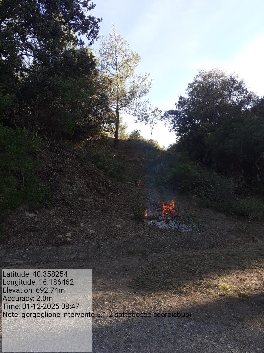 Galleria Fotografica Immagine