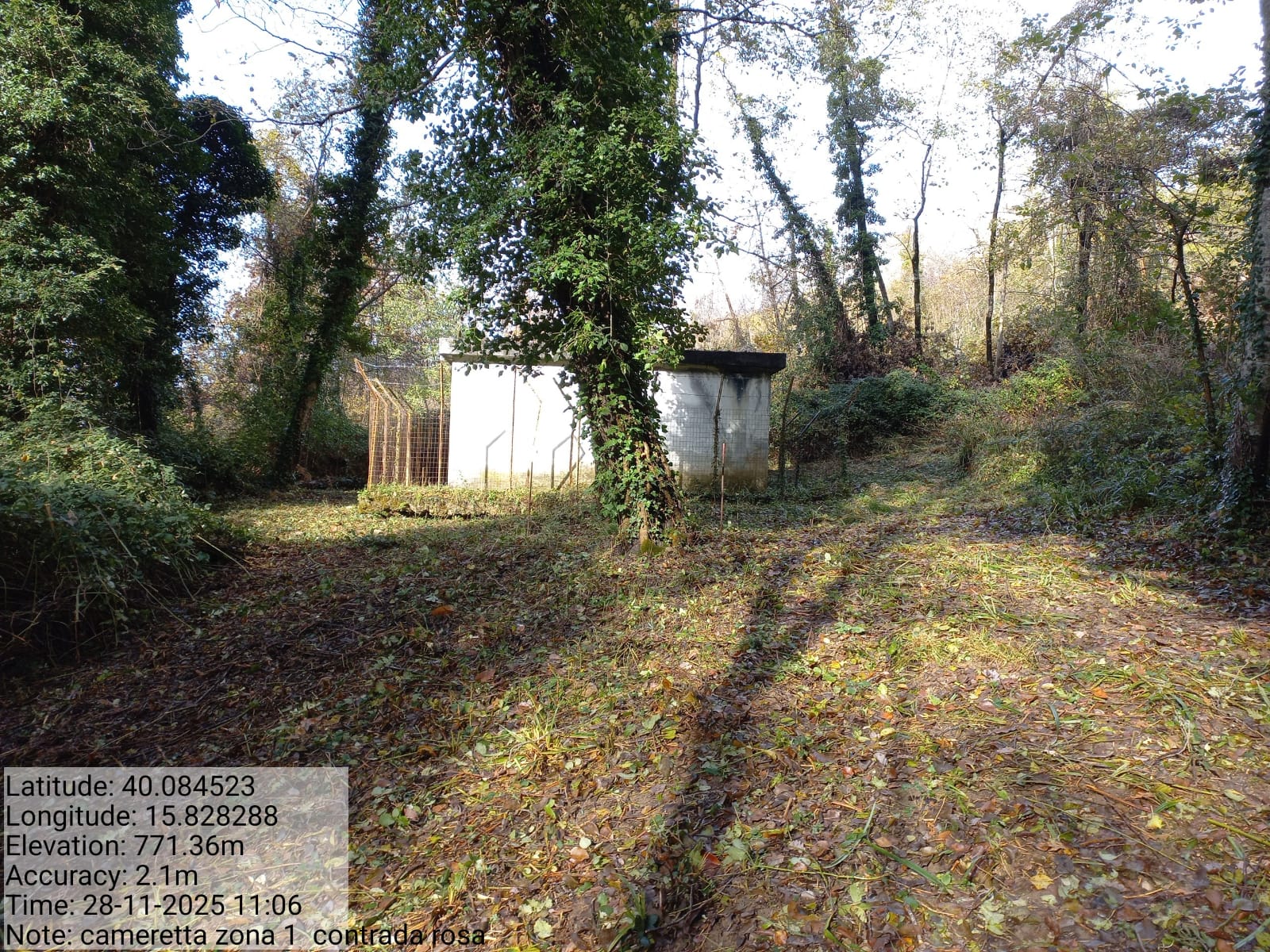 Galleria Fotografica Immagine