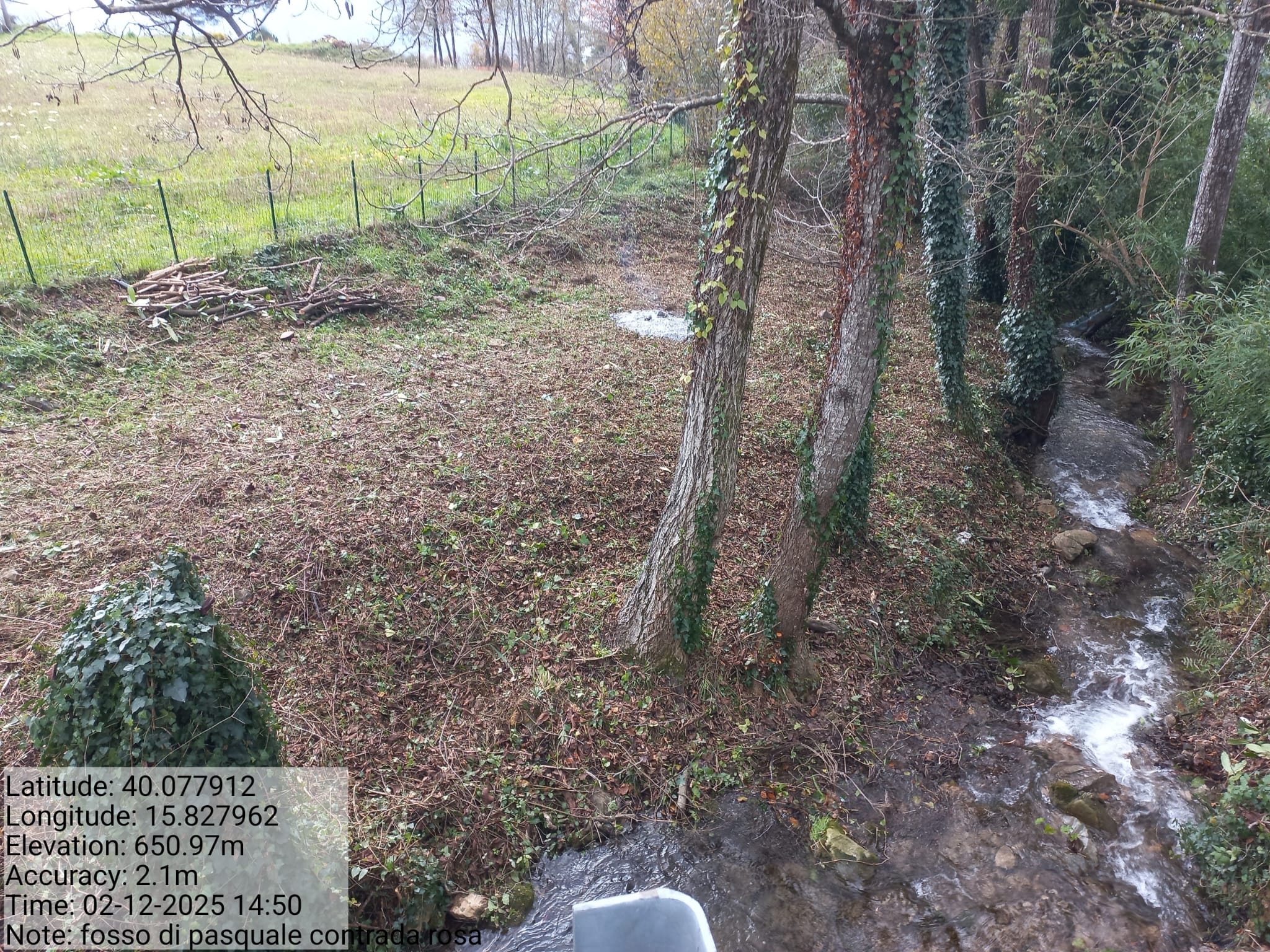 Galleria Fotografica Immagine