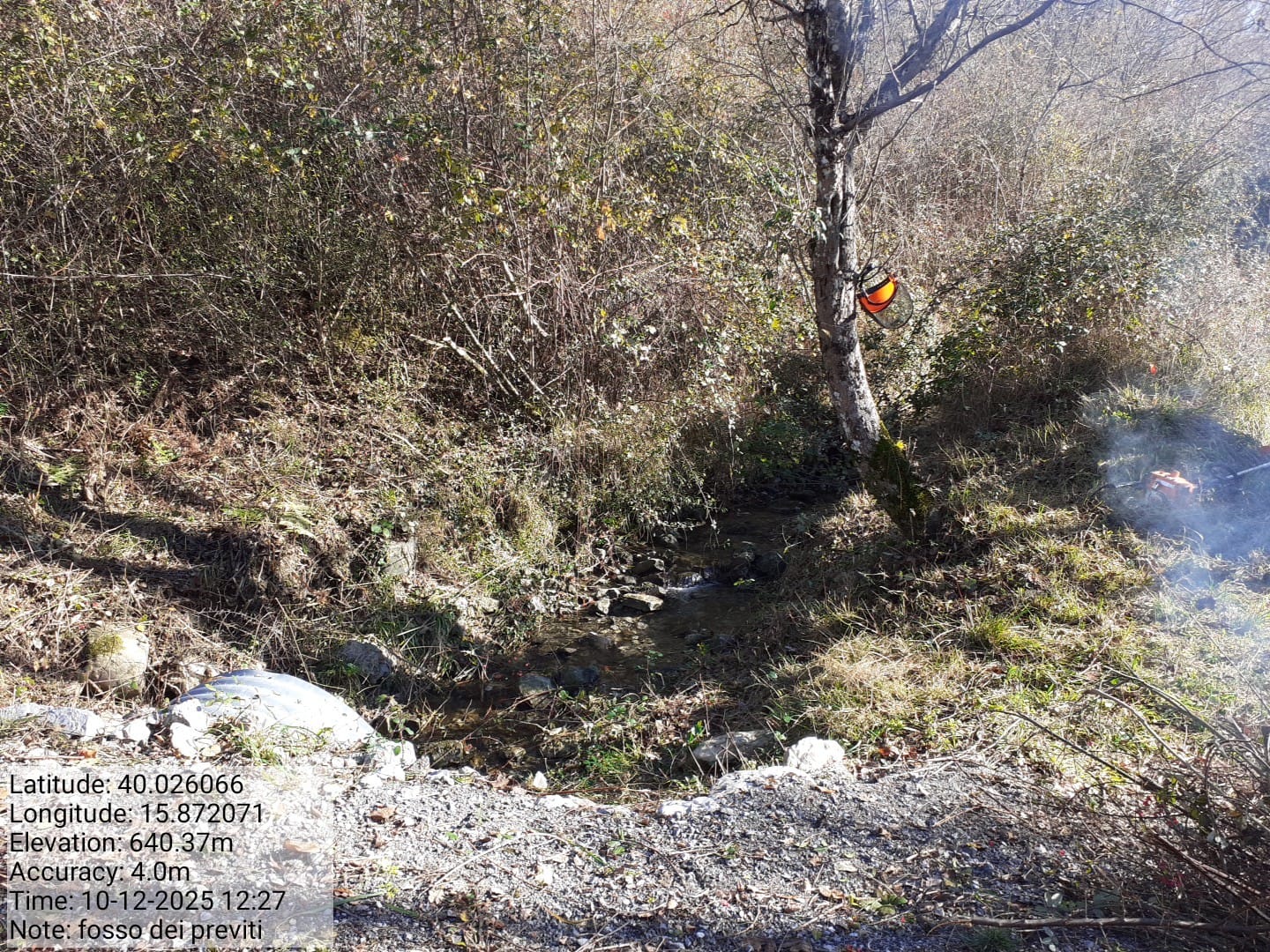 Galleria Fotografica Immagine