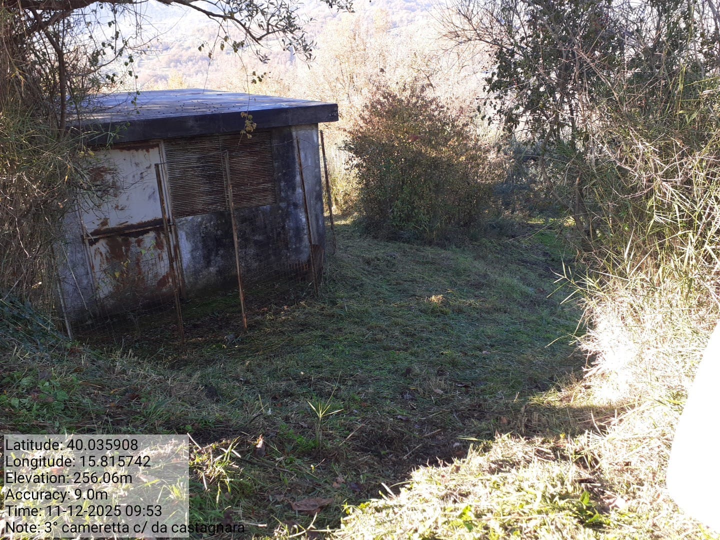 Galleria Fotografica Immagine