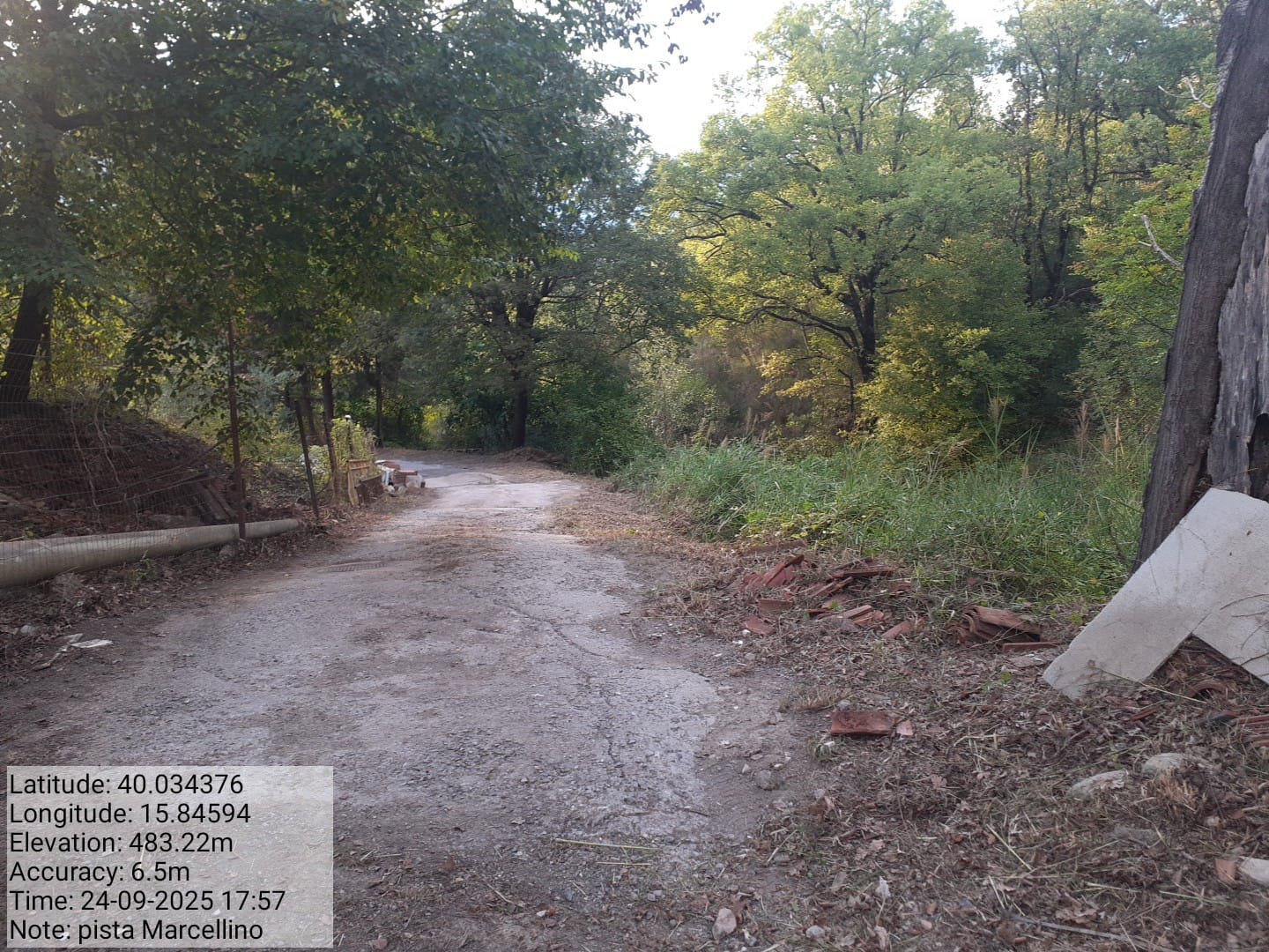 Galleria Fotografica Immagine