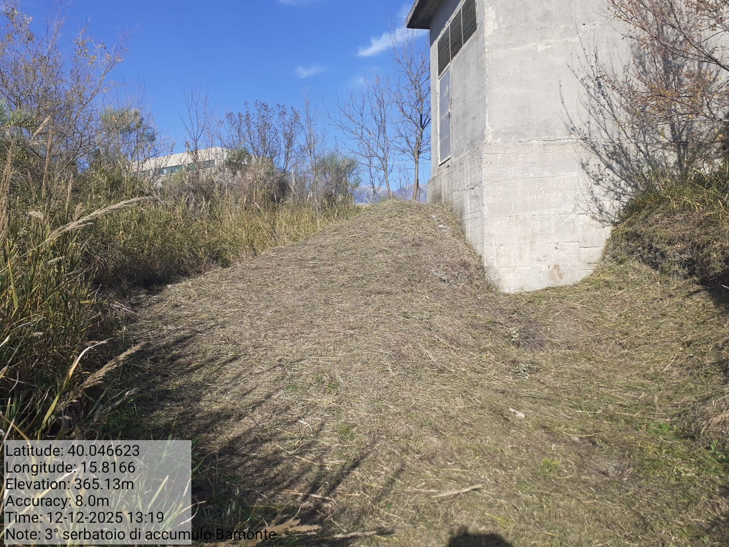 Galleria Fotografica Immagine