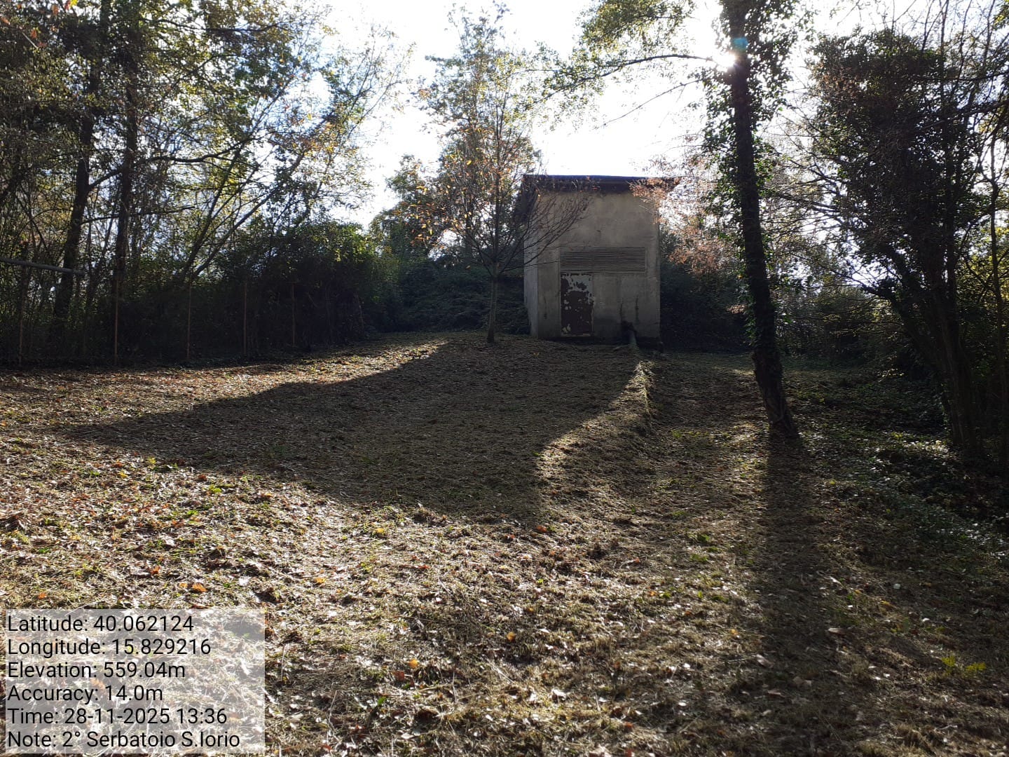 Galleria Fotografica Immagine