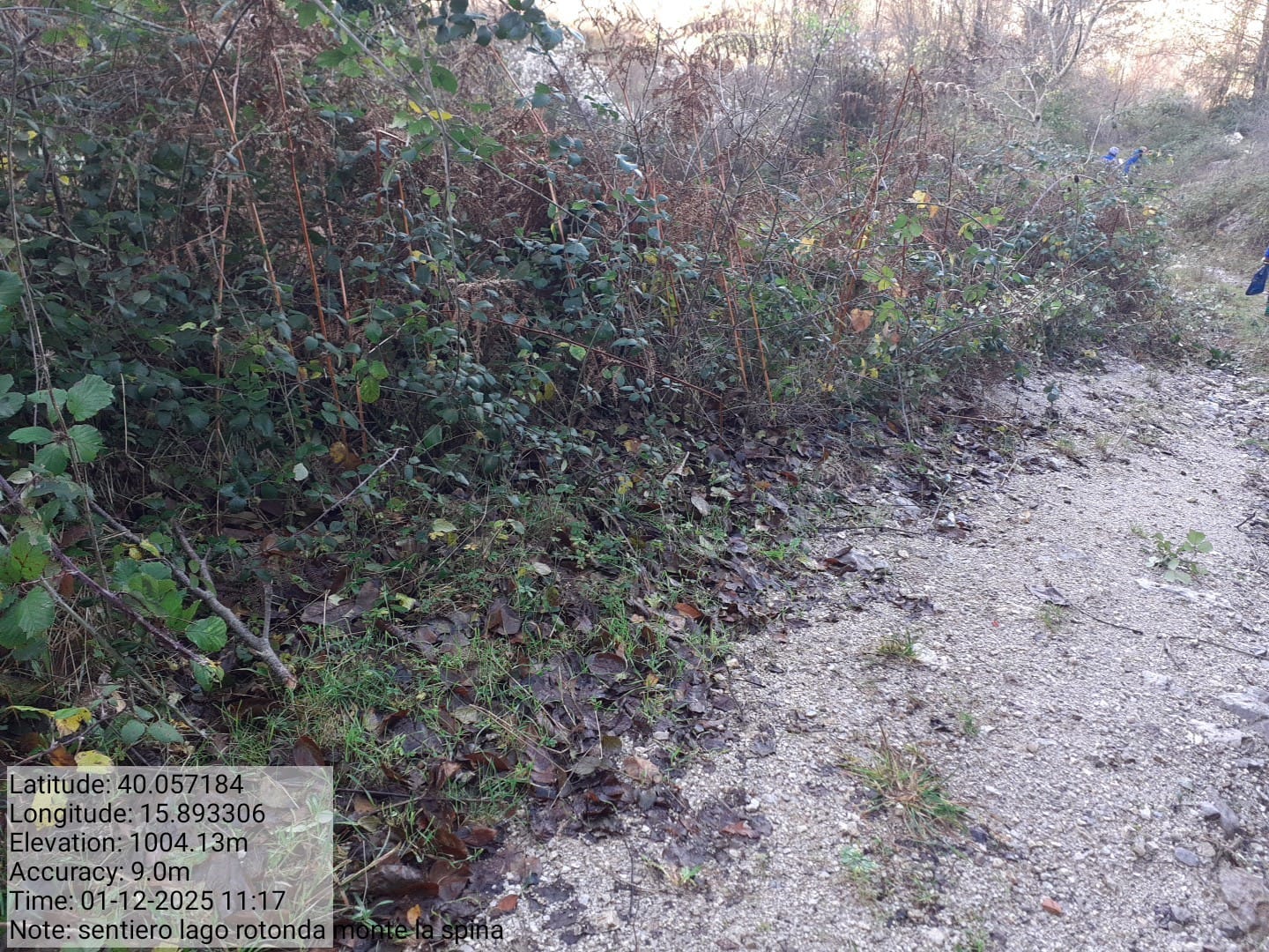 Galleria Fotografica Immagine