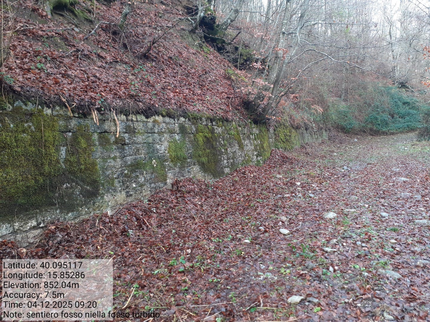 Galleria Fotografica Immagine