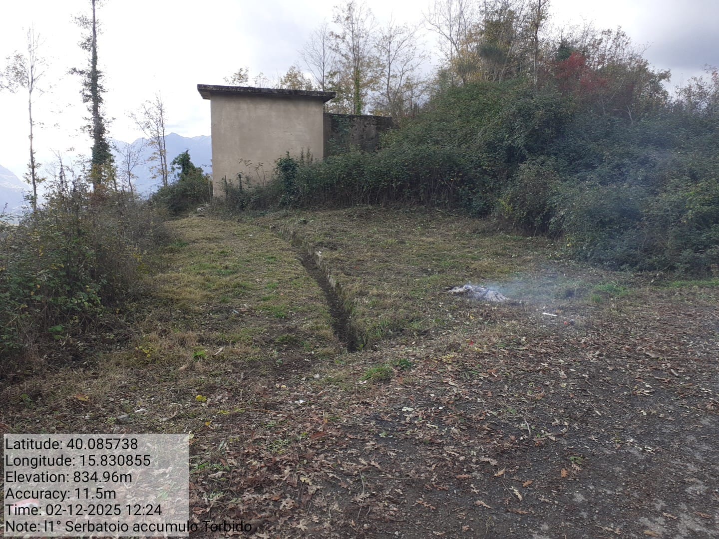 Galleria Fotografica Immagine