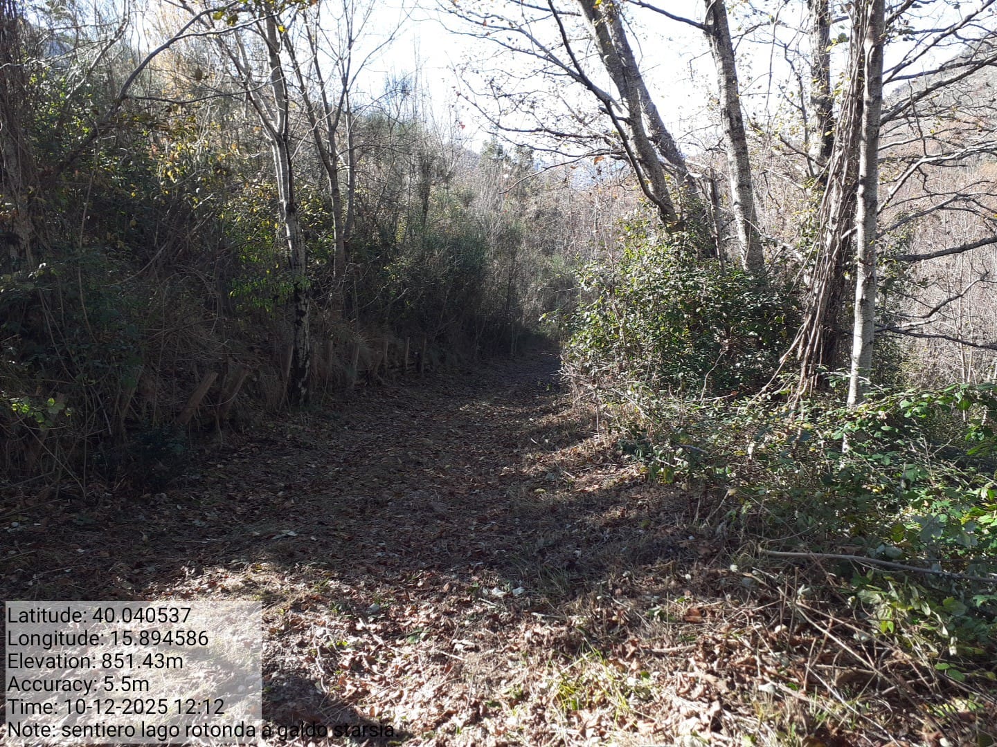 Galleria Fotografica Immagine