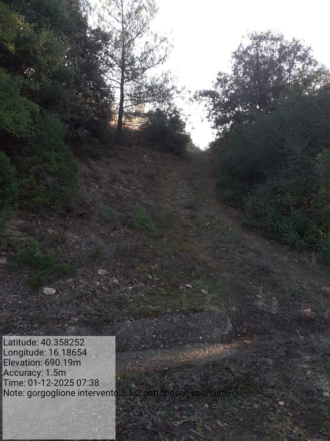 Galleria Fotografica Immagine