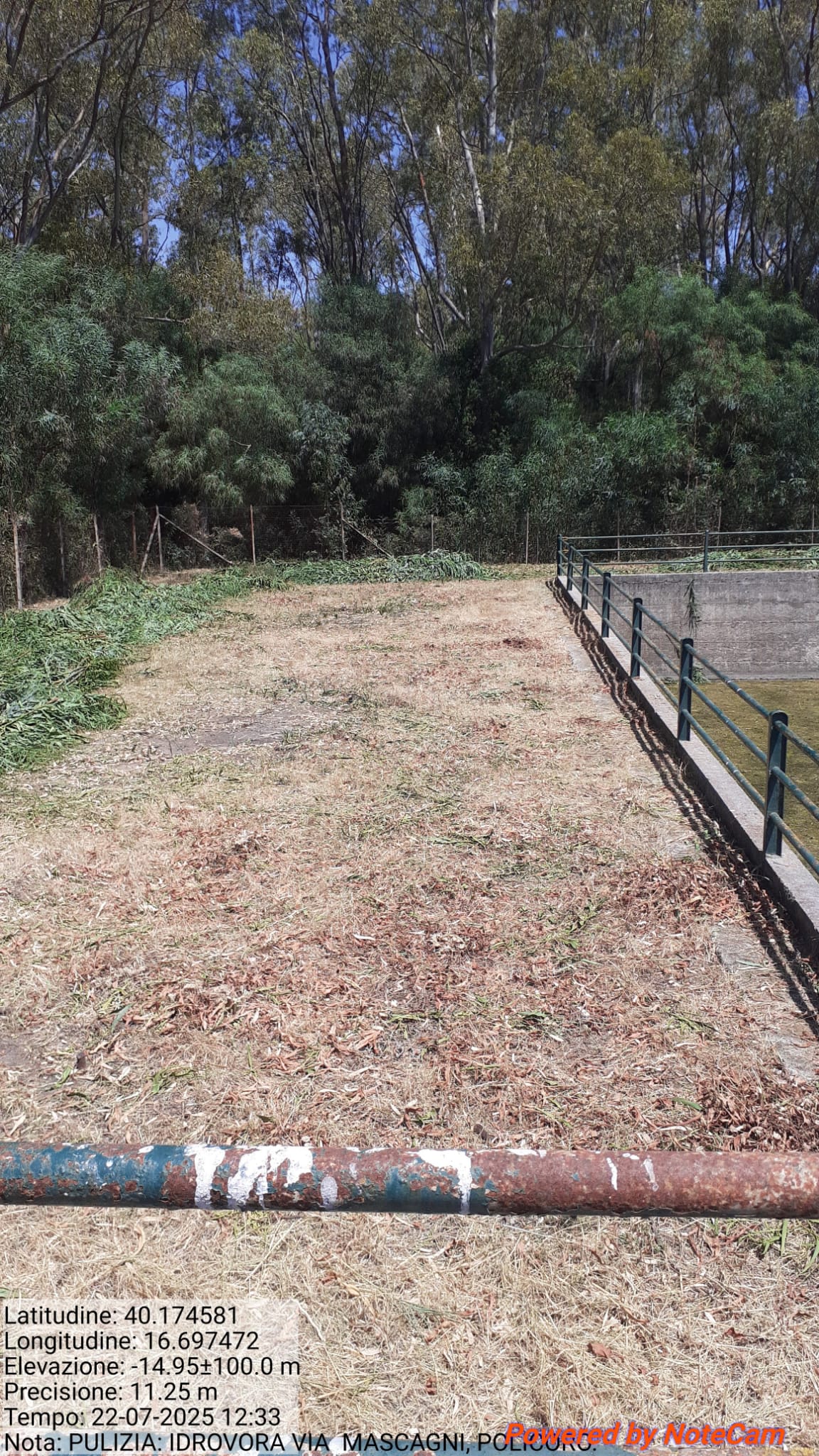 Galleria Fotografica Immagine