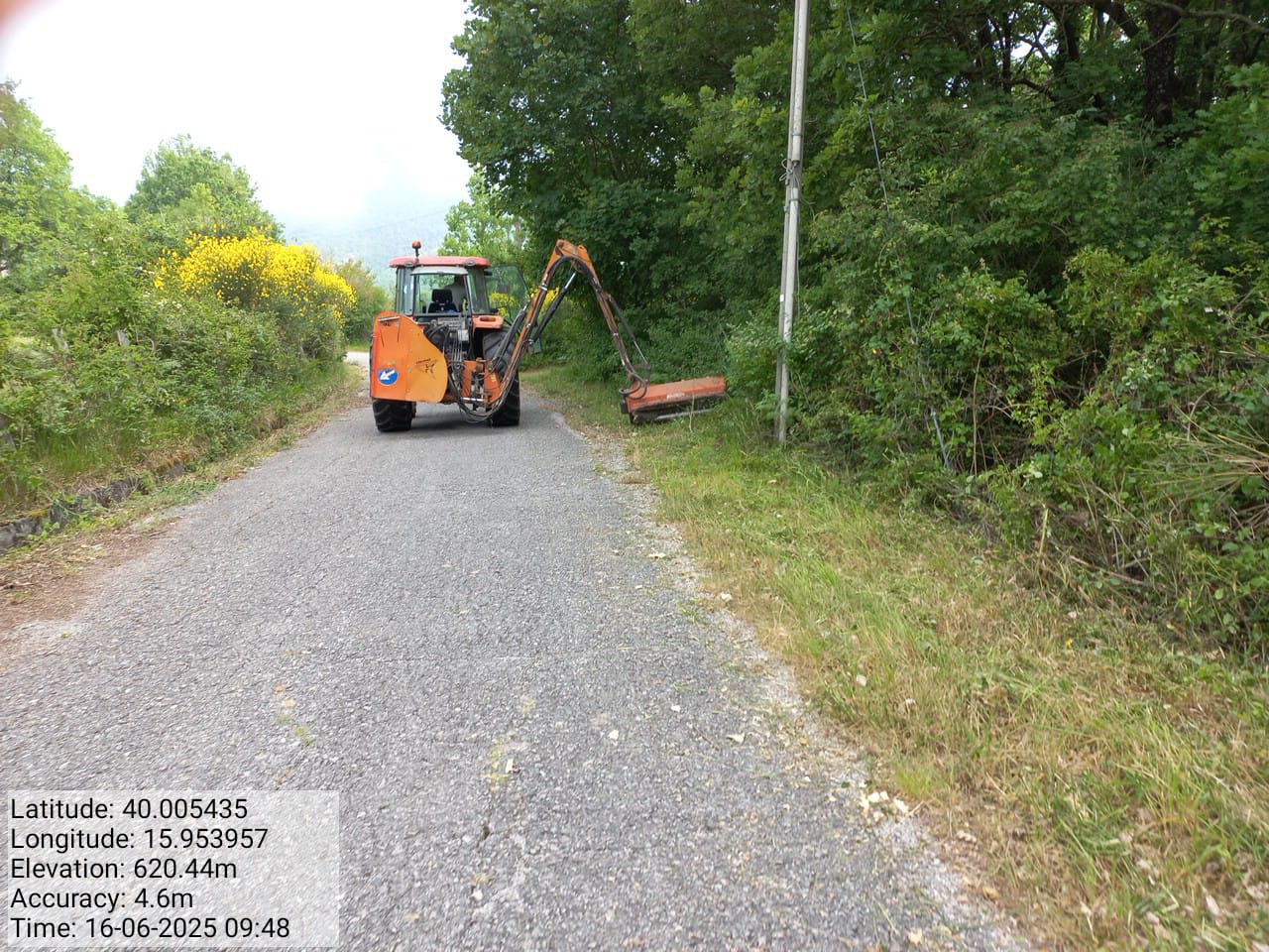 Galleria Fotografica Immagine