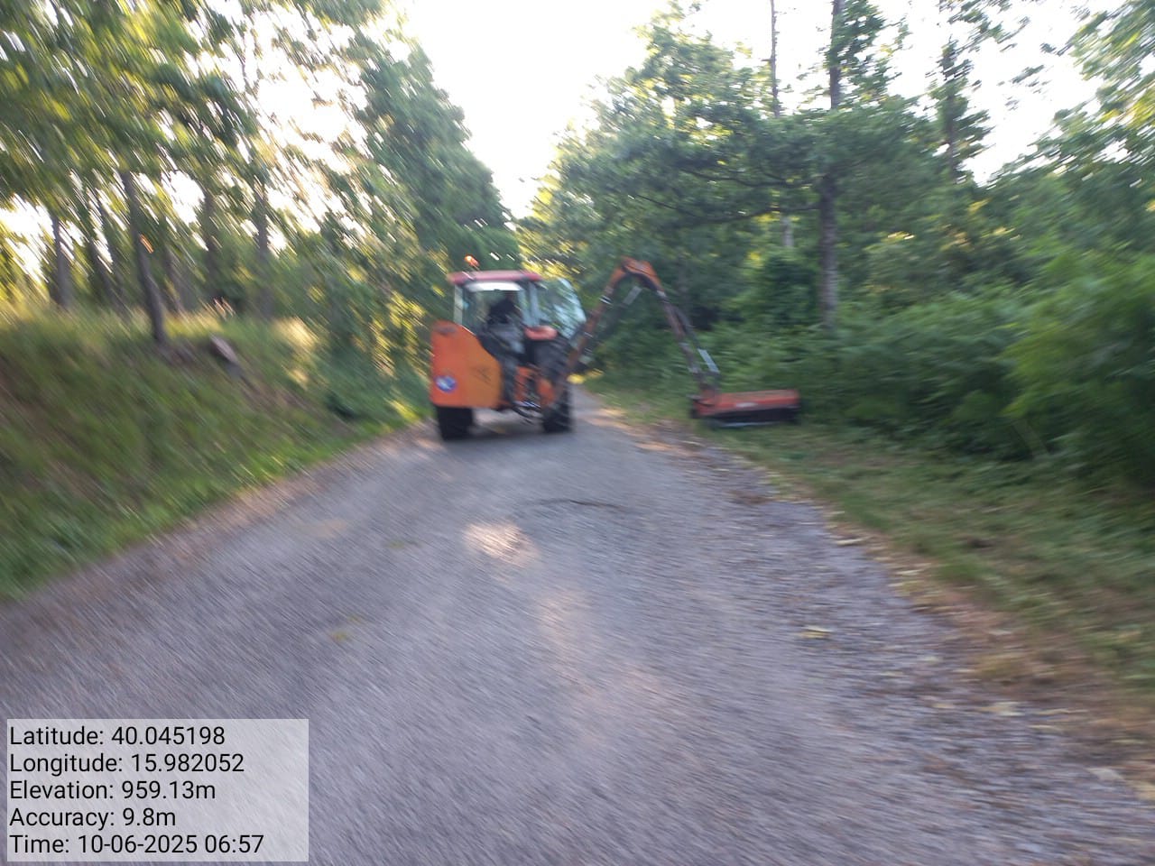 Galleria Fotografica Immagine