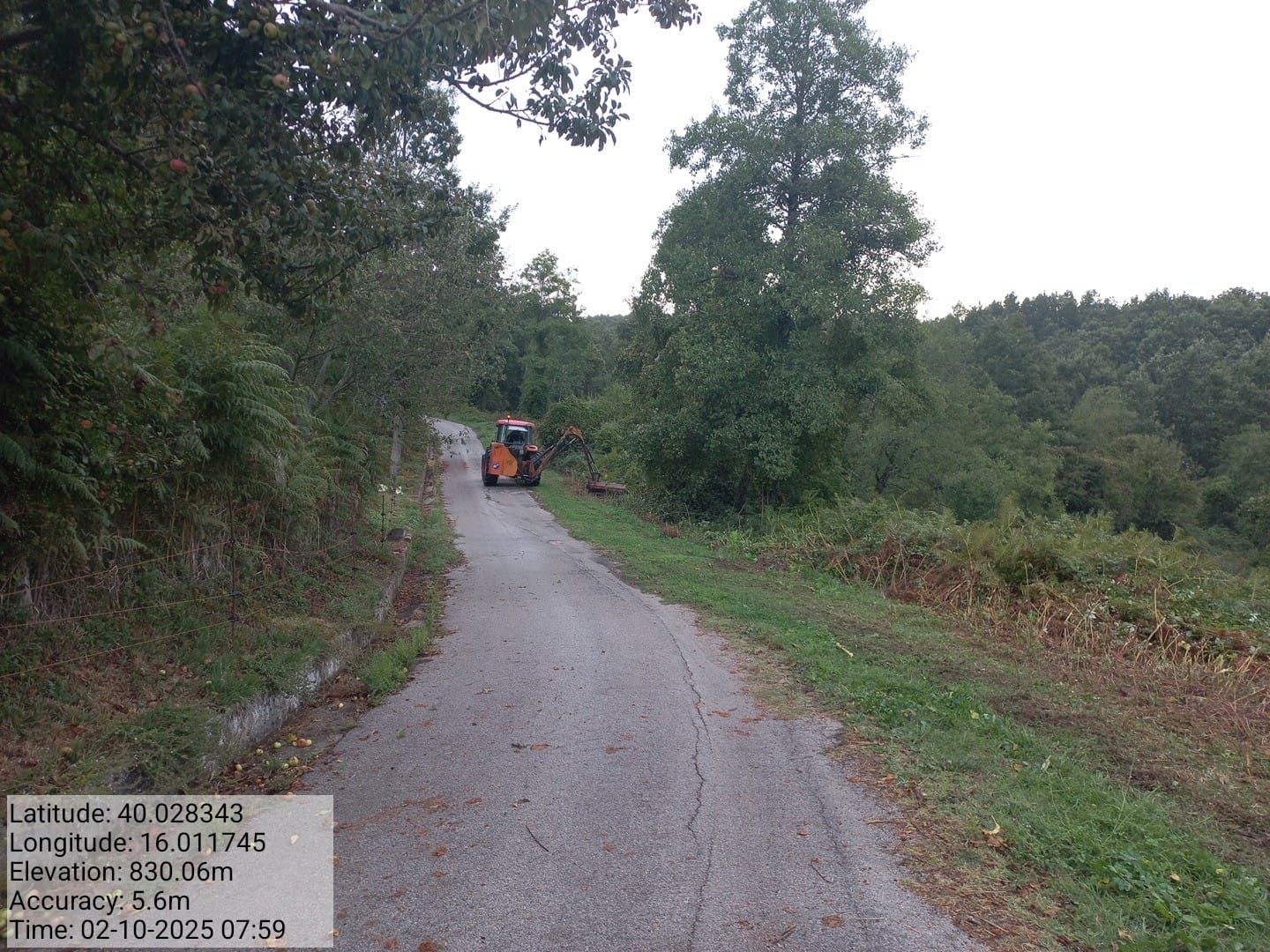 Galleria Fotografica Immagine