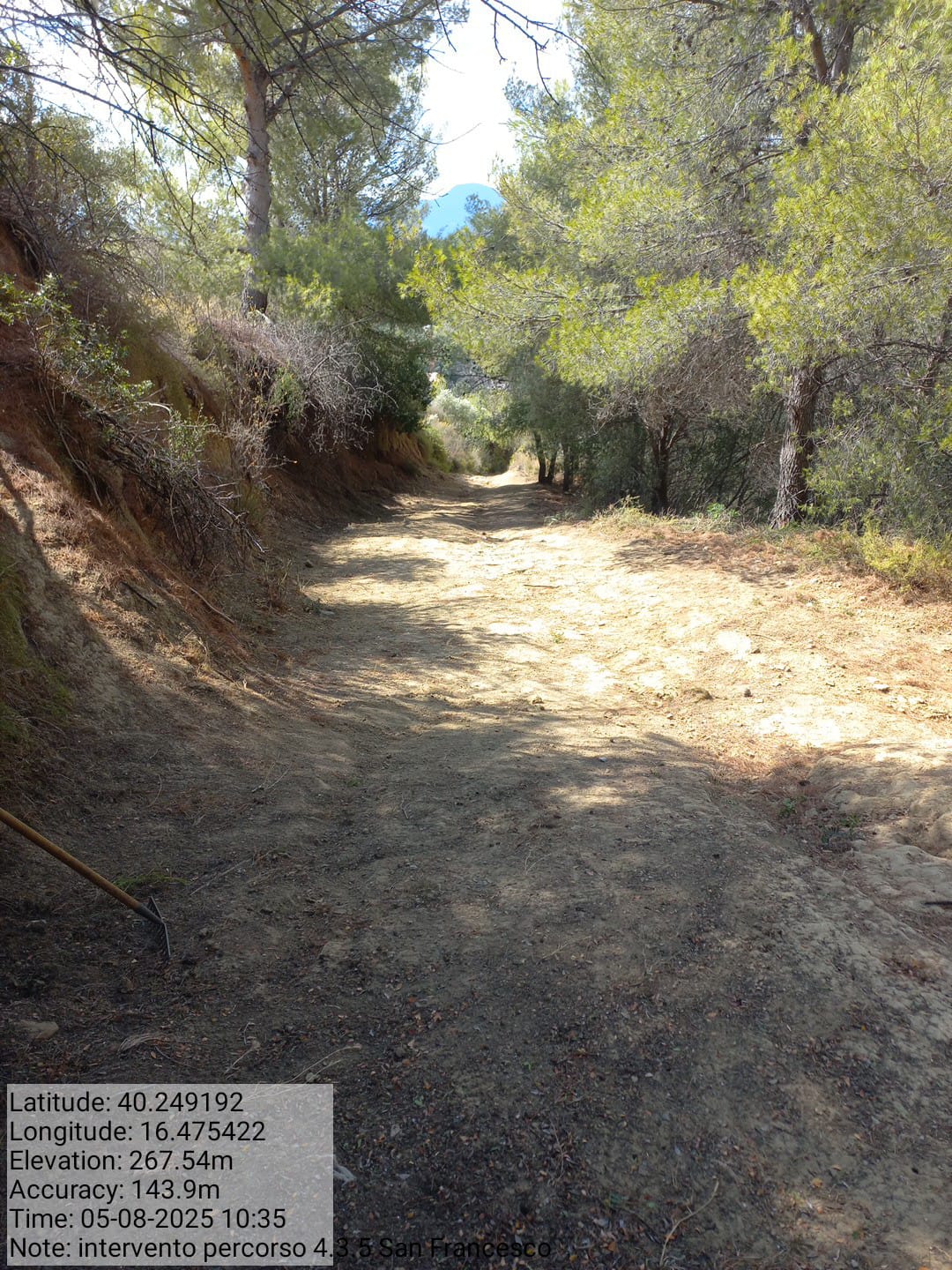 Galleria Fotografica Immagine