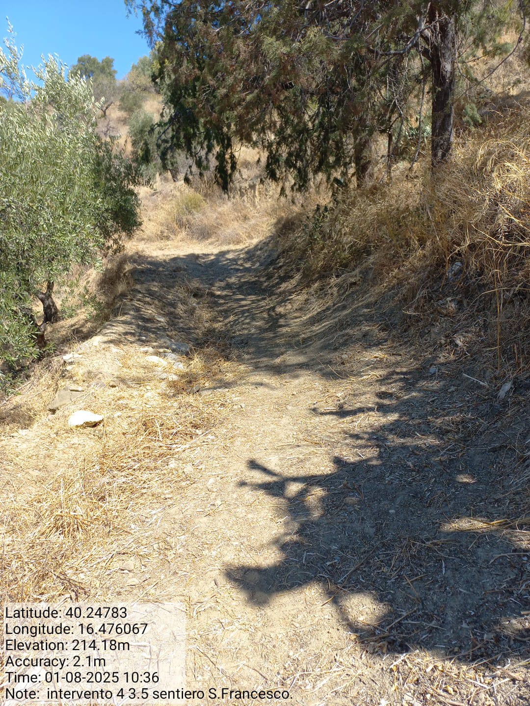 Galleria Fotografica Immagine