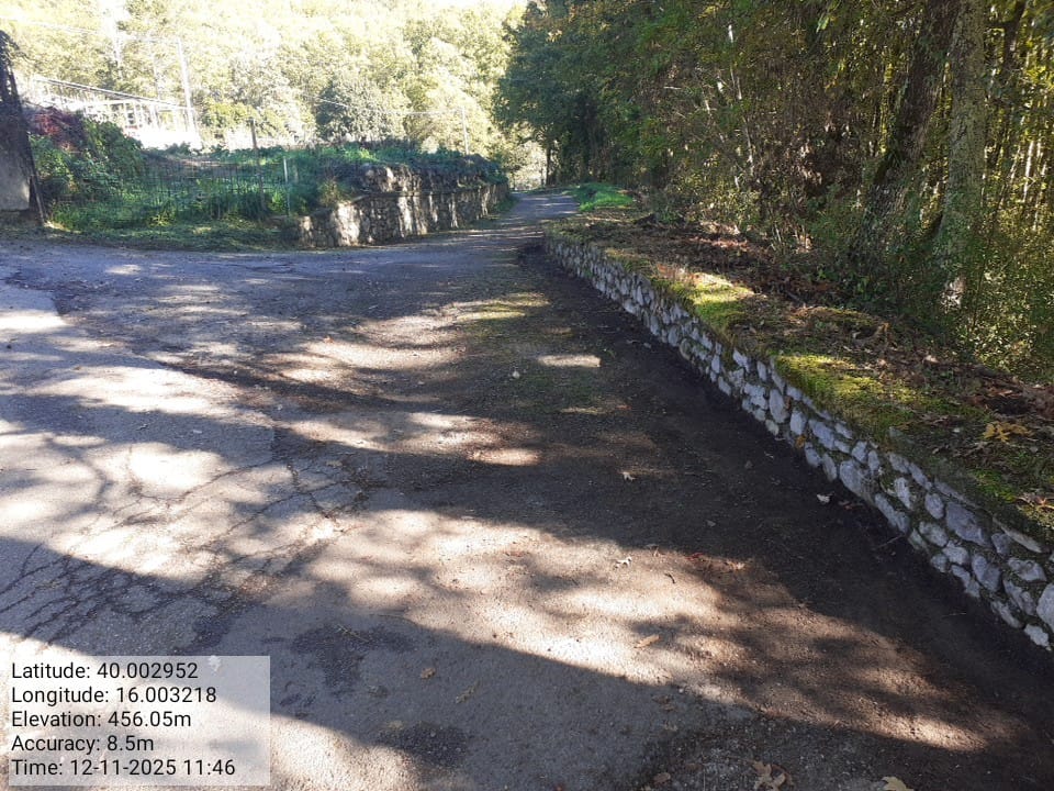 Galleria Fotografica Immagine